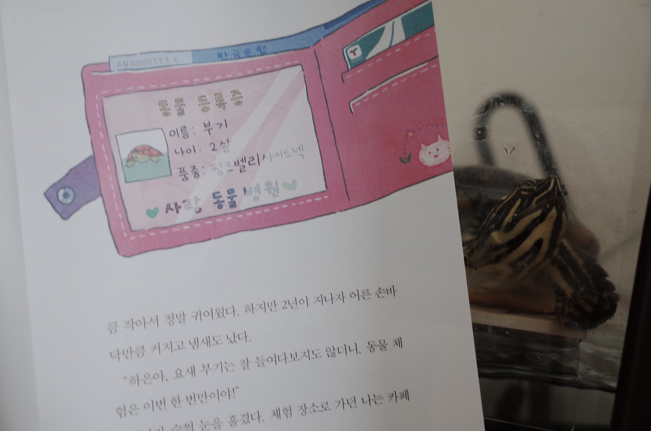 #협찬
#안녕작은별손님 #초등동화
.
우리집에는 #반려거북이 가 있다
유기 친구가 어쩌다보니 인연이 되어 같이 산지 N년차
그래서인지 첫 '거북이 고아원' 이야기를 보고 생각이 많아졌는데, 뭐랄까. 강아지 고양이 같은 동물 뿐 아니라 이런 소동물 ( 크기는 이제 소동물 아님 ) 친구들에 대한 이야기들도 아이들에게 많이 다가갔으면 좋겠다
.
#동화 #반려동물 #그린북 #레드문고 greenbook1993