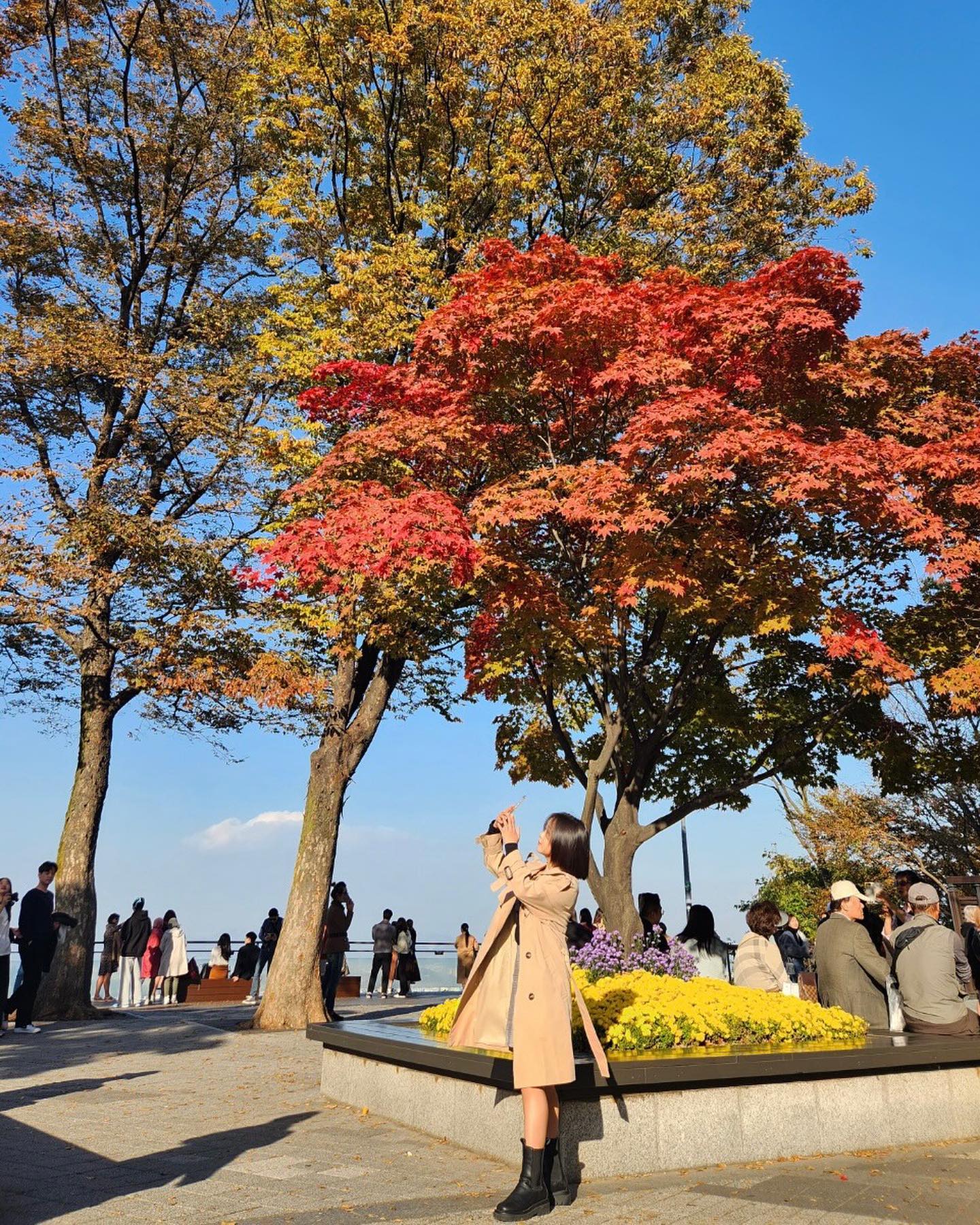가을이었다🍂

#가을 #단풍구경 #남산타워 #남산
