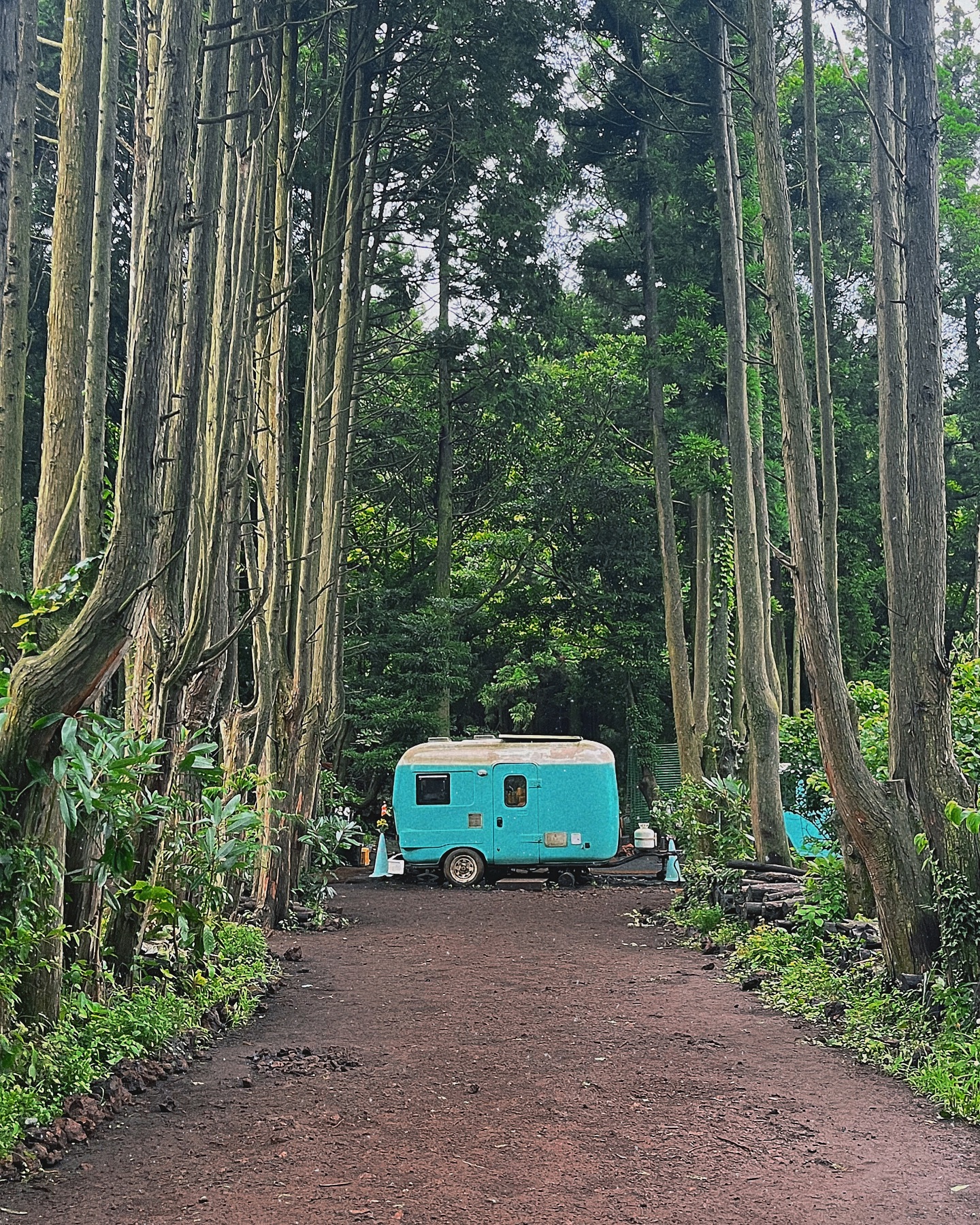 #jeju