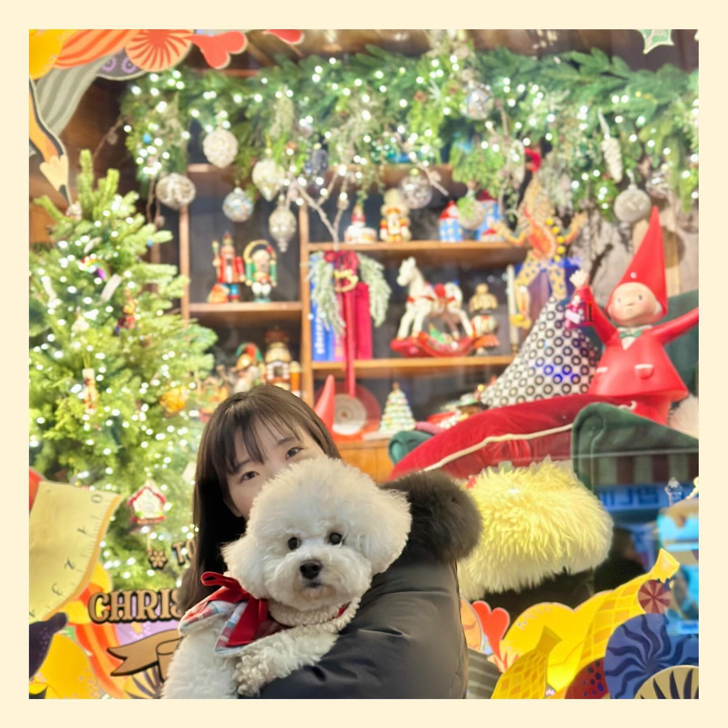 #🎅#🎄#✨

연말되면 항상 명동 가고 싶어하는
어무이 그리고 별이와 함께한 명동 나들이

많은 분들게 귀여움 선사한 하루 
쏘 큐트~!! 카와이~!! 수없이 듣고 별이를 보면서 
웃고가시는 분들을 보니 별이는 힐링 대천사야 👼🏻

너무 북적여서 별이가 스트레스 받을까 동행 망설였는데
포토존에서 엄마의 성화에 잠깐 유모차에 나와서
많은 분들이 한번에 관심주니 그땐 좀 겁먹었던 별이🥹 
그외에는 유모차 안쪽보게 돌려놔도 앞에 궁금하다면서 
앞쪽만 보려고하고 요리조리 구경 잘했어용

📢 자차 이용 하실분들
서울중앙우체국 건물 모두의 주차장 어플로 예약하면
롯데,신세계,명동거리,남대문 모두 멀지 않은 거리로 
이용 할수 있더라구요! 다만,뱅글뱅굴 입구가 매우 좁음! 

#강아지와#명동#신세계본점#롯데본점#크리스마스명소#크리스마스