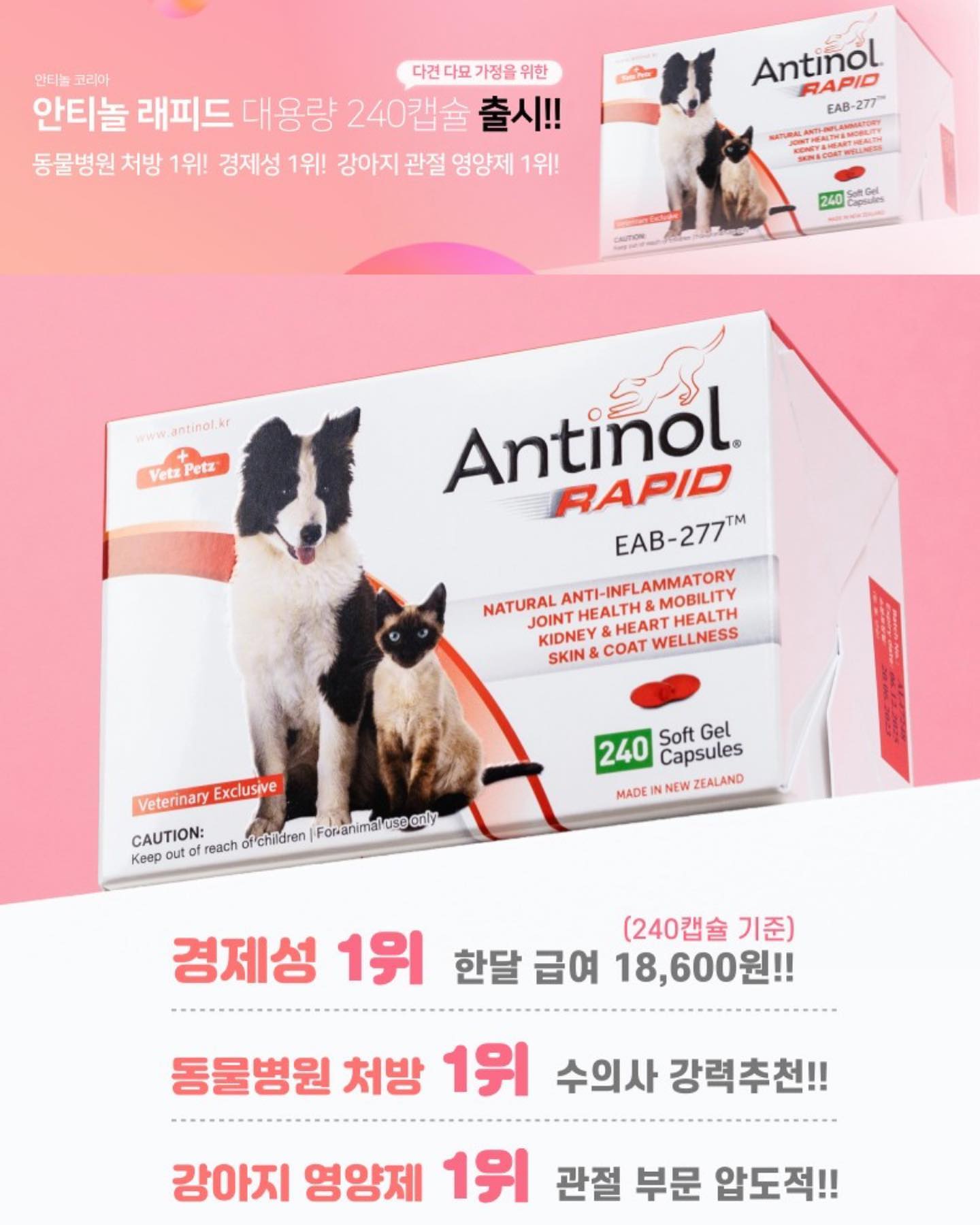 💡댕댕이🐶 냥냥이😻 집사님들에게 공유하고 싶은 소식✨

반려동물 관절 부분 동뭉병원 처방1위 
동물병원에서만 구매할 수 있었던 
“안티놀 래피드”를 
온라인에서도 구매가 가능해졌어요‼️
240캡슐 “대”용량 모델을 출시했어요.😃

모르고 계신분들,강아지 슬개골로 영양제 고민이신분들,
다견 다묘 가정이신 분들,기존에 급여하고 계셨던 분들
이제 손쉽게 “안티놀코리아”에서 고고‼️ antinol.kr 
⠀ 
⠀ 
#안티놀래피드 #강아지관절영양제 #강아지슬개골영양제 
#강아지관절염 #강아지슬개골탈구예방 #강아지영양제
#고양이영양제 #고양이관절영양제 #고양이관절염 #집사 #집사소통 #냥스타그램 #댕스타그램