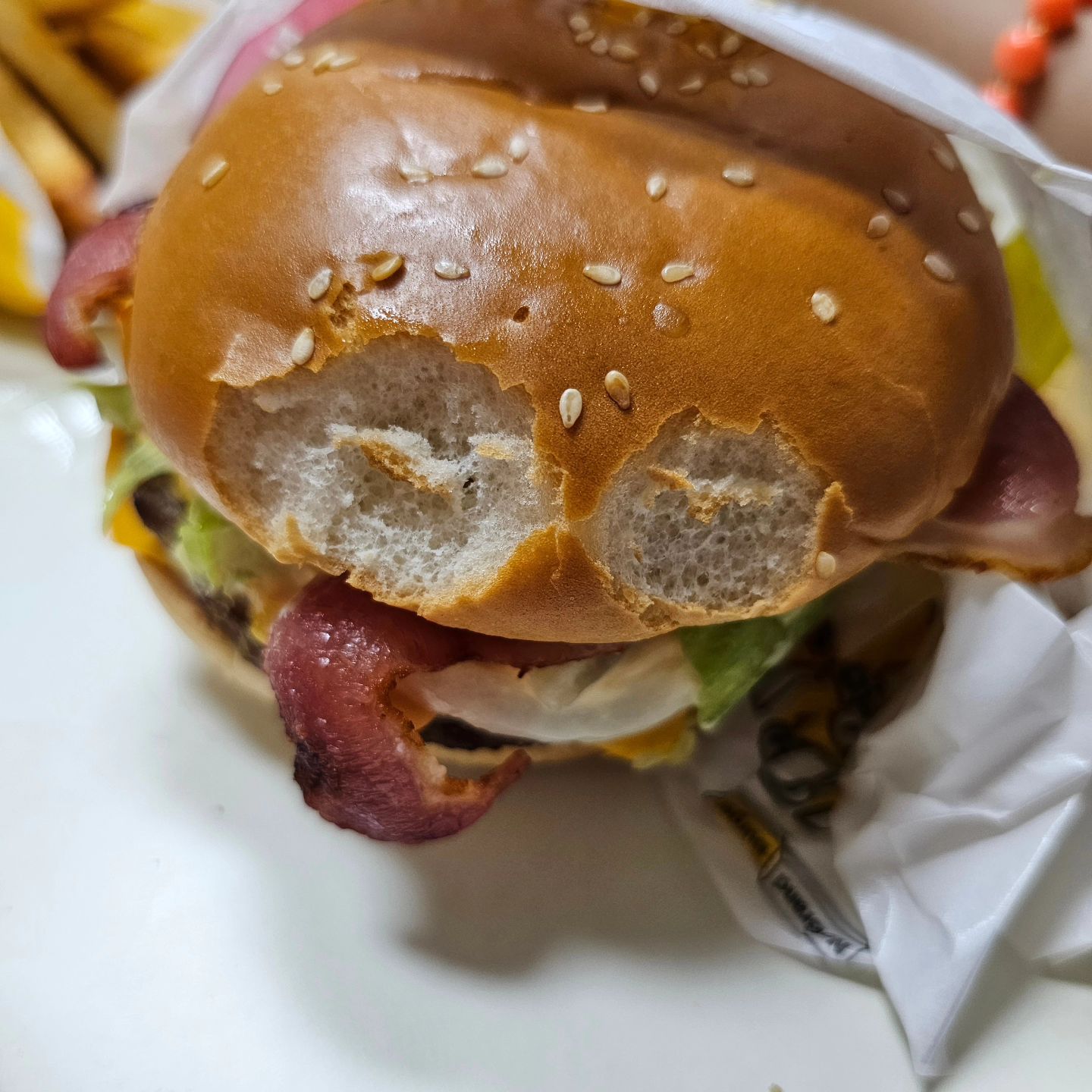 햄버거에 남겨진
둘째의 하찮은 한 입🍔🍔🍔