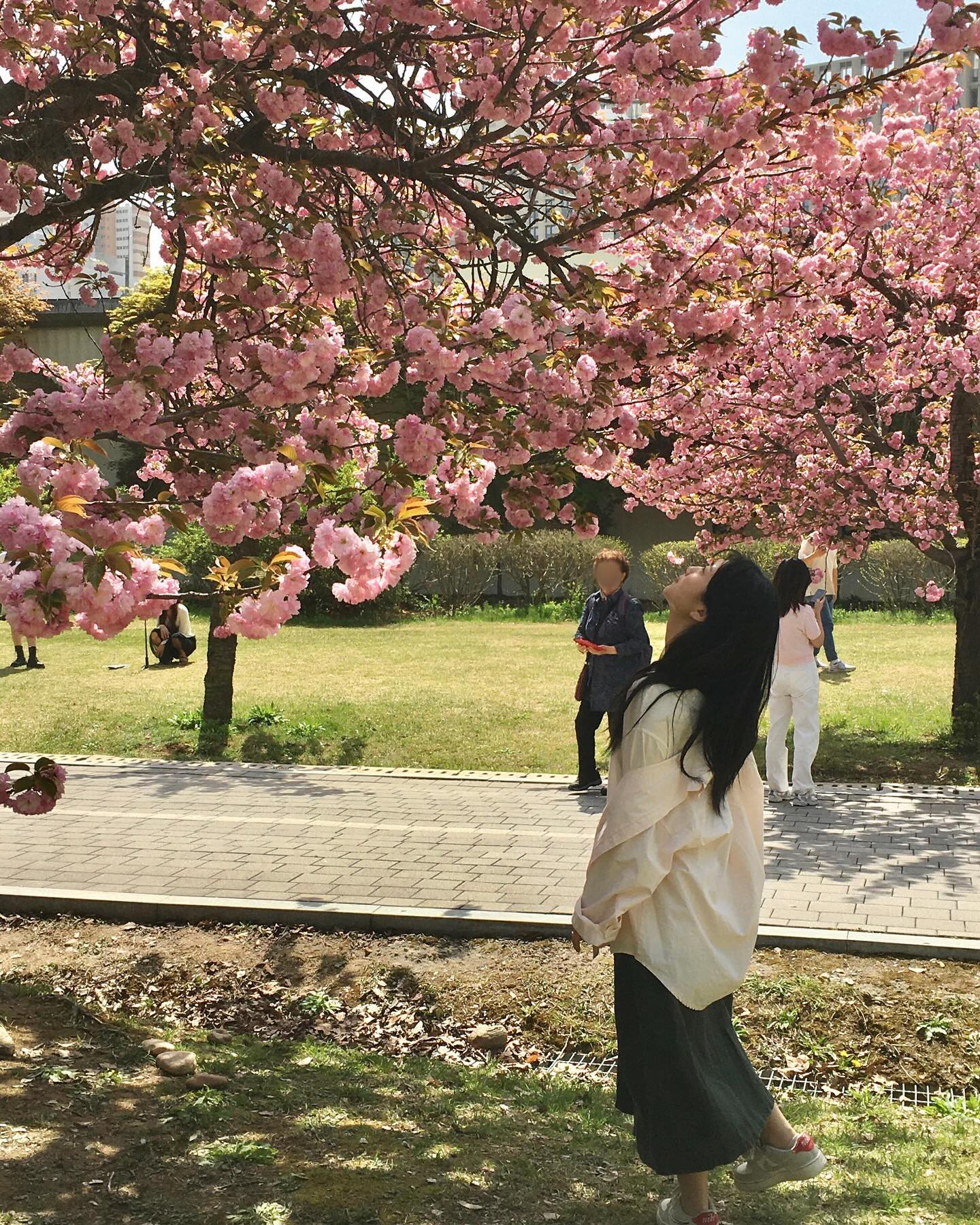 이제 올리는..🌸