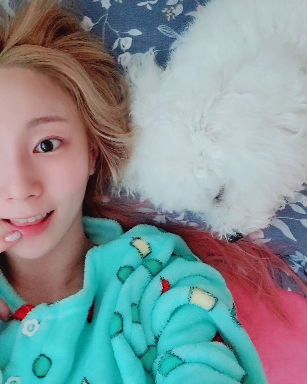눈이랑 코 없었으면 강아진지 스킬 털뭉치인지 
털만 쑥쑥 잘자라 🐑🫧☁️