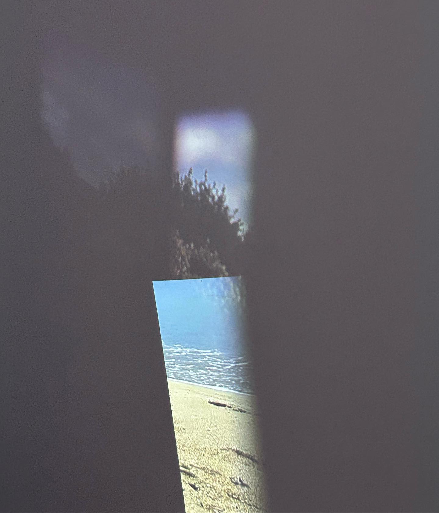 여름 잘가