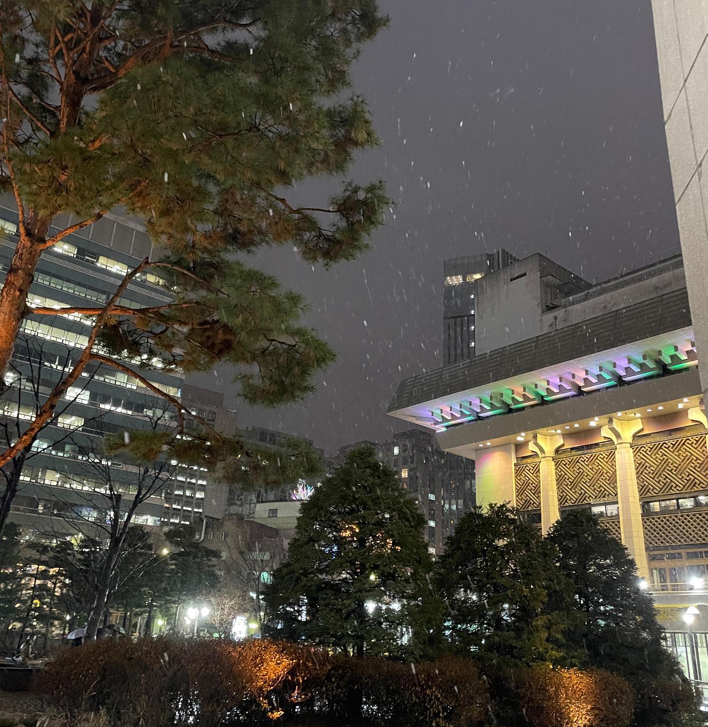 노트르담드파리