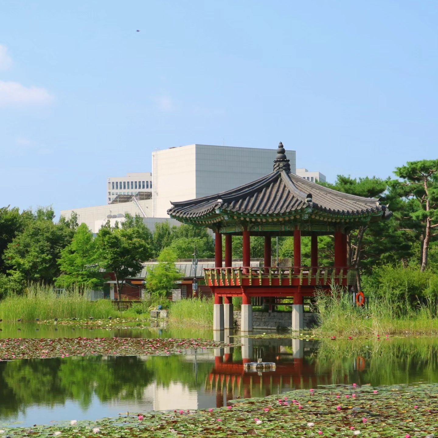 대전여행 가볼만한곳으로 추천할곳인 한밭수목원🌳

처음 가자마자 규모에 놀랐어요!
전체를 돌아보려면 하루종일 봐도 부족하겠더라구요🫢

풍경 하나하나 너무 예뻤고, 볼것도 많았답니다:)

날씨가 너무 더워 전체적으로 돌아볼순없었지만 가을에 와도 예쁠거더라구요.

다음엔 좀 더 여유롭게 둘러보고 오고 싶은 곳이에요🌷

▪️한밭수목원▪️
📍대전 서구 둔산대로 169
🕐04~09월 06:00~21:00 /10~03월 08:00~19:00

#대전여행 #한밭수목원 #대전 #대전가볼만한곳 #여행스타그램