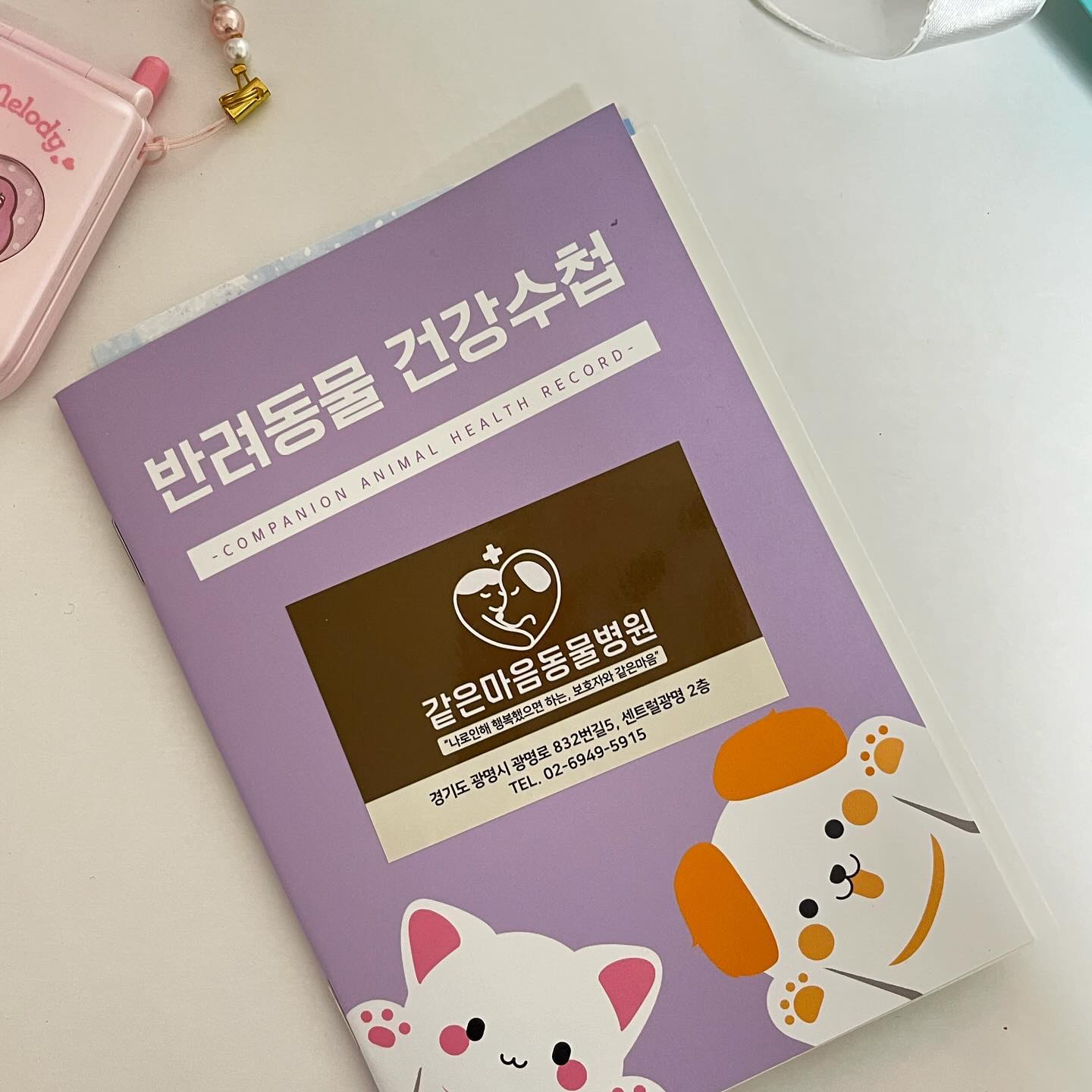 단풍이 1년 예방접종💉 맞고왔어용 ”:)❀
작년에도 의젓하게 잘 맞았는데 이번에도 의젓하게 잘 맞았답니당👏🏻
.
.
.
.
.
.
#냥팔 #냥팔맞팔 #냥팔환영 #랙돌 #ラグドール #布偶貓 #반려묘 #냥팔멍팔 #냥스타그램 #💉 #냥소통 #고양이접종 #미묘 #미묘냥 #좋아요 #고양이일상 #cat #🐈 #catstagram #냥스타그램 #🐱 #집사맞팔 #소통환영 #광명동물병원추천 #고영희