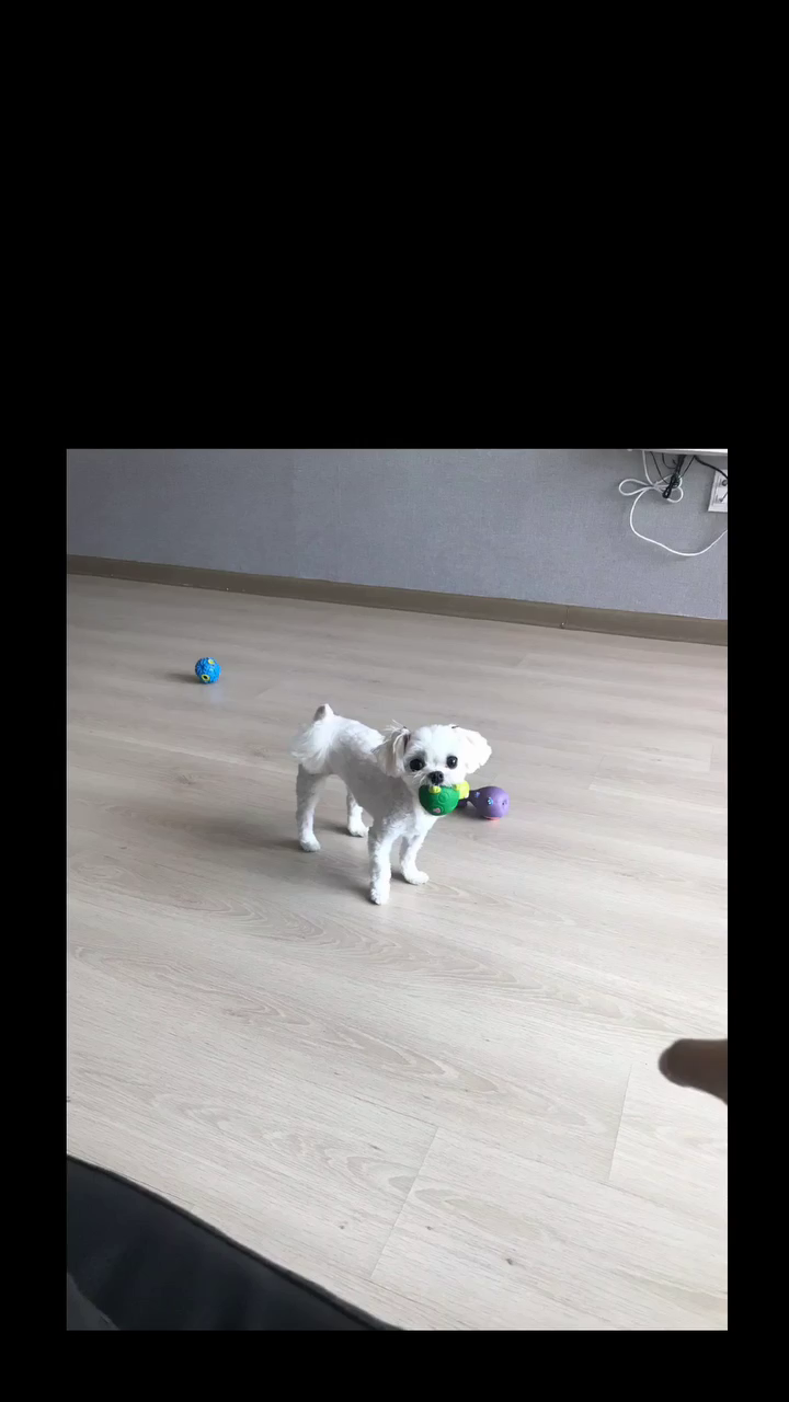 내 20대를 함께해준 우리 애기 사랑해 ❤️
