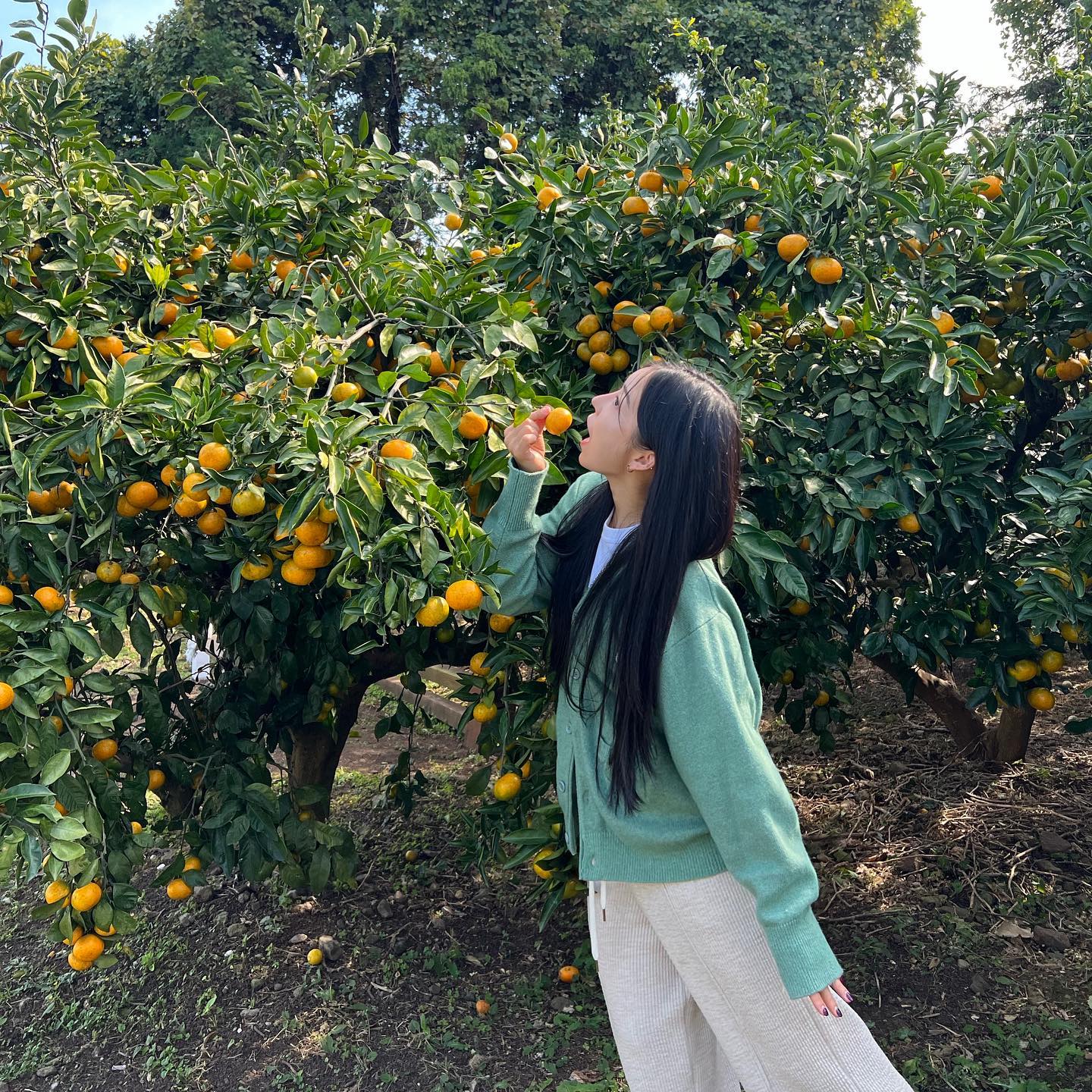 🍊언제와도 좋은 제주도💓