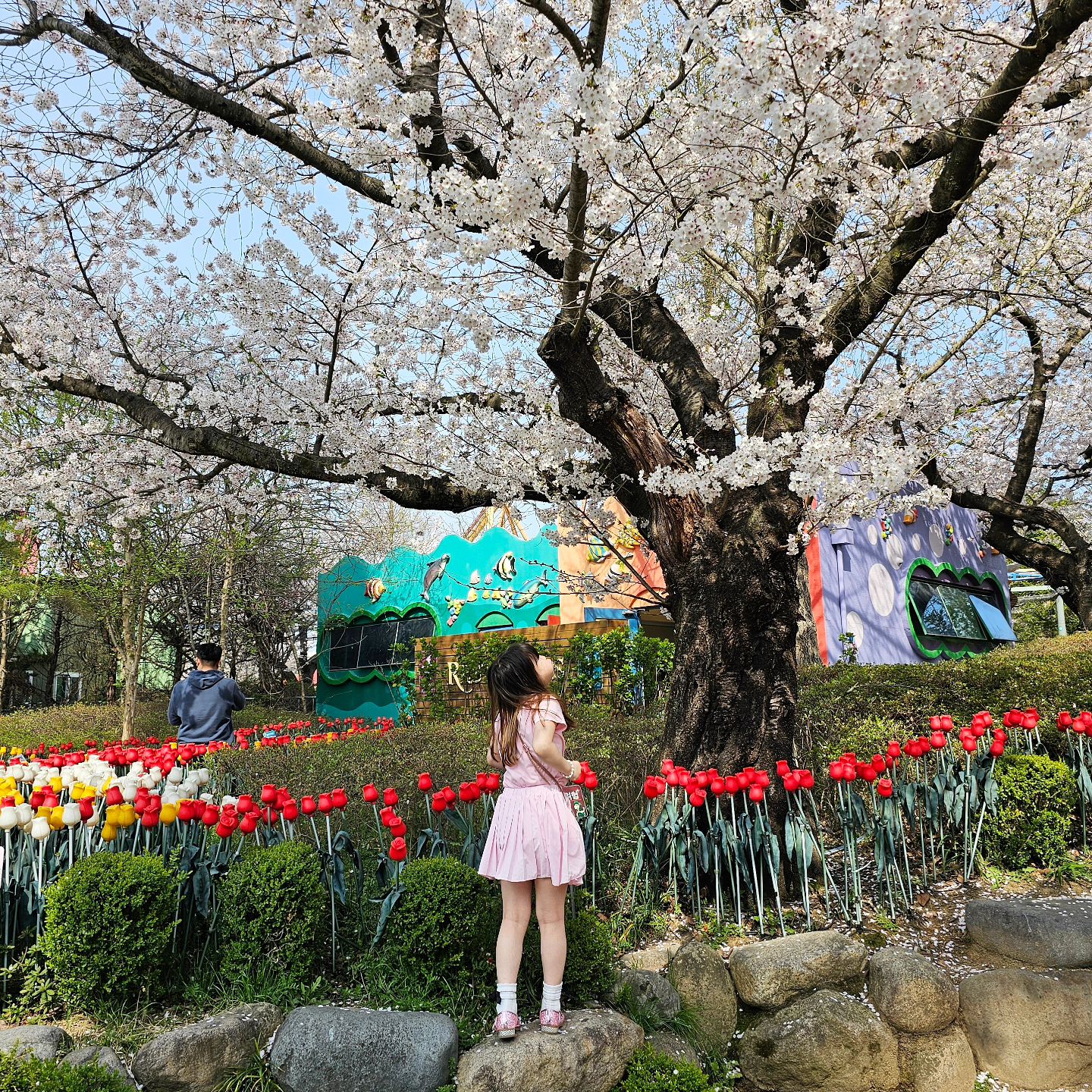 #오늘도고마워
고맙게도 바쁜 엄마 밑에서 열심히 살아내고 있는 내 사랑들💕

아주 오랜만의 연락도 흔쾌히 바빠서 그랬겠노라 이해하며,
귀한 시간 내어준 감사한 인연에 오늘도 내 삶이 헛되지 않았구나
지난날의 나 역시 잘 살아내고 있었구나 마음 한 켠 따사로웠다.

오늘도 고단했던 내 영혼의 쉼표 따위 찾을 수 없었고,
겨우 맥주 한 병에 하루를 위로해보지만 #그럼에도불구하고
누군가에겐 도움이 되는 하루였고, 그녀들에겐 추억인 하루였다

#그렇게 #살아내다보면 #감사한인연들 #보답하는날오겠지
#고마워요 #같이열심히살아줘서 #함께한다는위안 #그거면