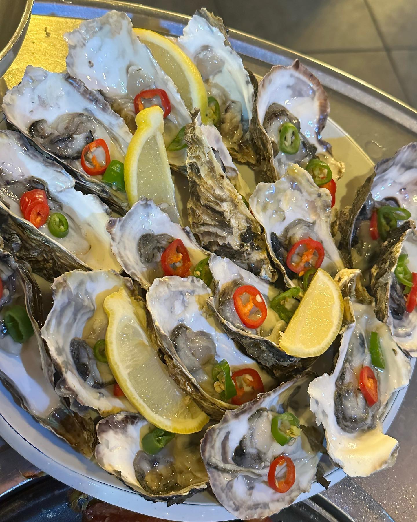강아지 동반가능
케이지도 개모차도 필요없어요👍🏻
고기도 석화도 싱싱😋
고깃집은 처음온 boolgaemi 
개미찡🐕❤️

#하숙집 #센텀맛집