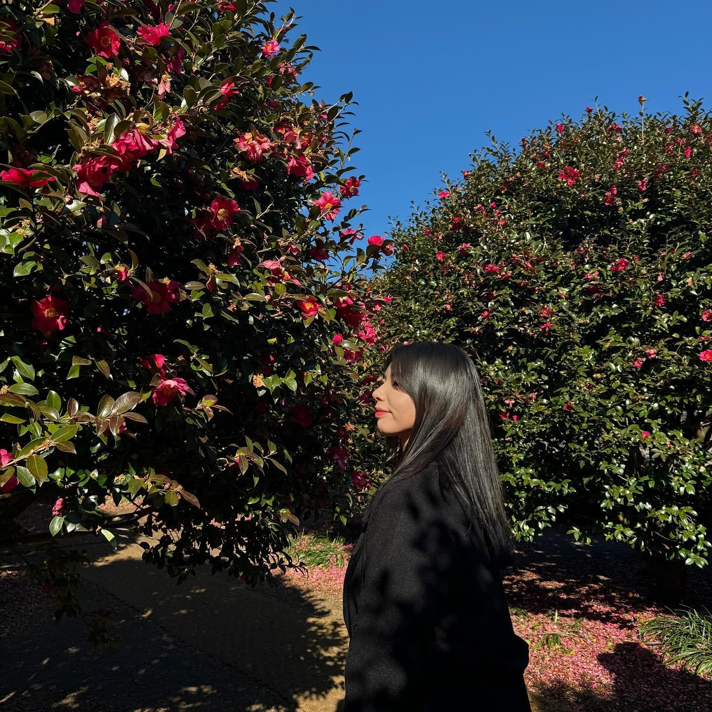 🌺