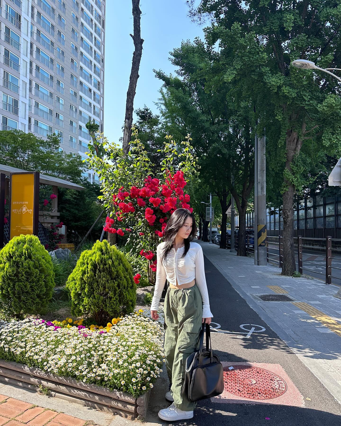 콘텐츠