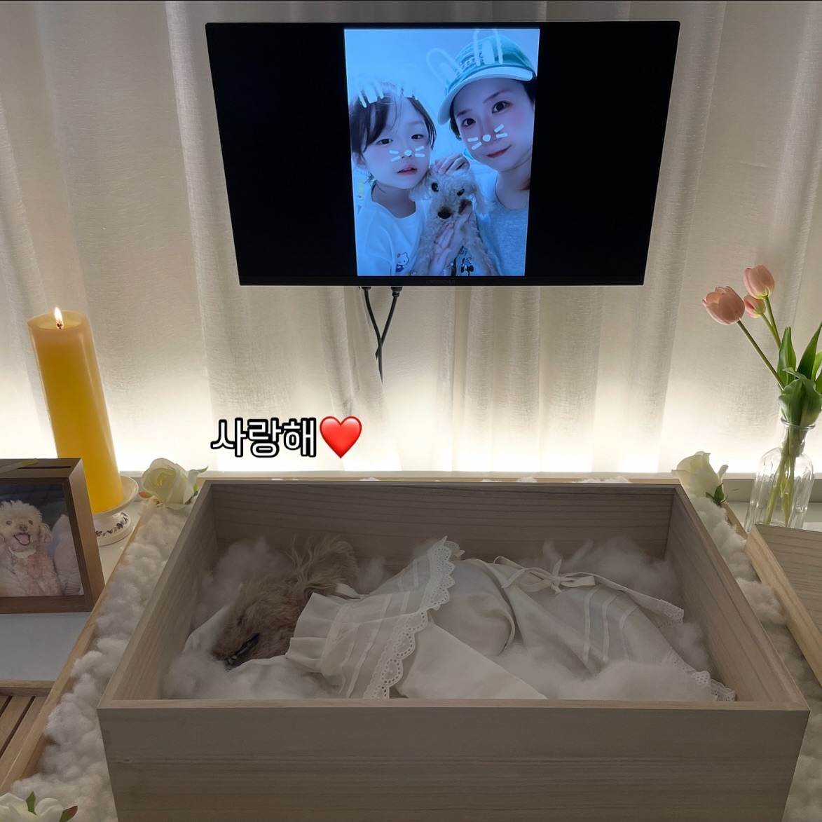 *
2009.11.13-2024.10.03🐶

내 20대, 30대, 그리고 오늘까지 함께해줘서 고마웠어.
나를 마리언니로 만들어 준 우리 마리🐶

이제는 볼 수도 만질수도 없어서 슬프지만,
15년동안 내 힘이 되어준 너무 착했던 마리야! 잘가, 사랑해❤️

고생만 하게 해서, 
더 잘해주지 못해 미안해서 언니는 자꾸 눈물이 난다.
너를 보내고 오는 길에 만난 무지개 그리고 잠깐의 빗방울.
우리 마리 무지개다리 잘 건넜구나, 우리 마리도 헤어짐이 아쉬워 우는구나 싶었던 타이밍.

가끔이라도 꿈에 나타나줘 마리야🩷
