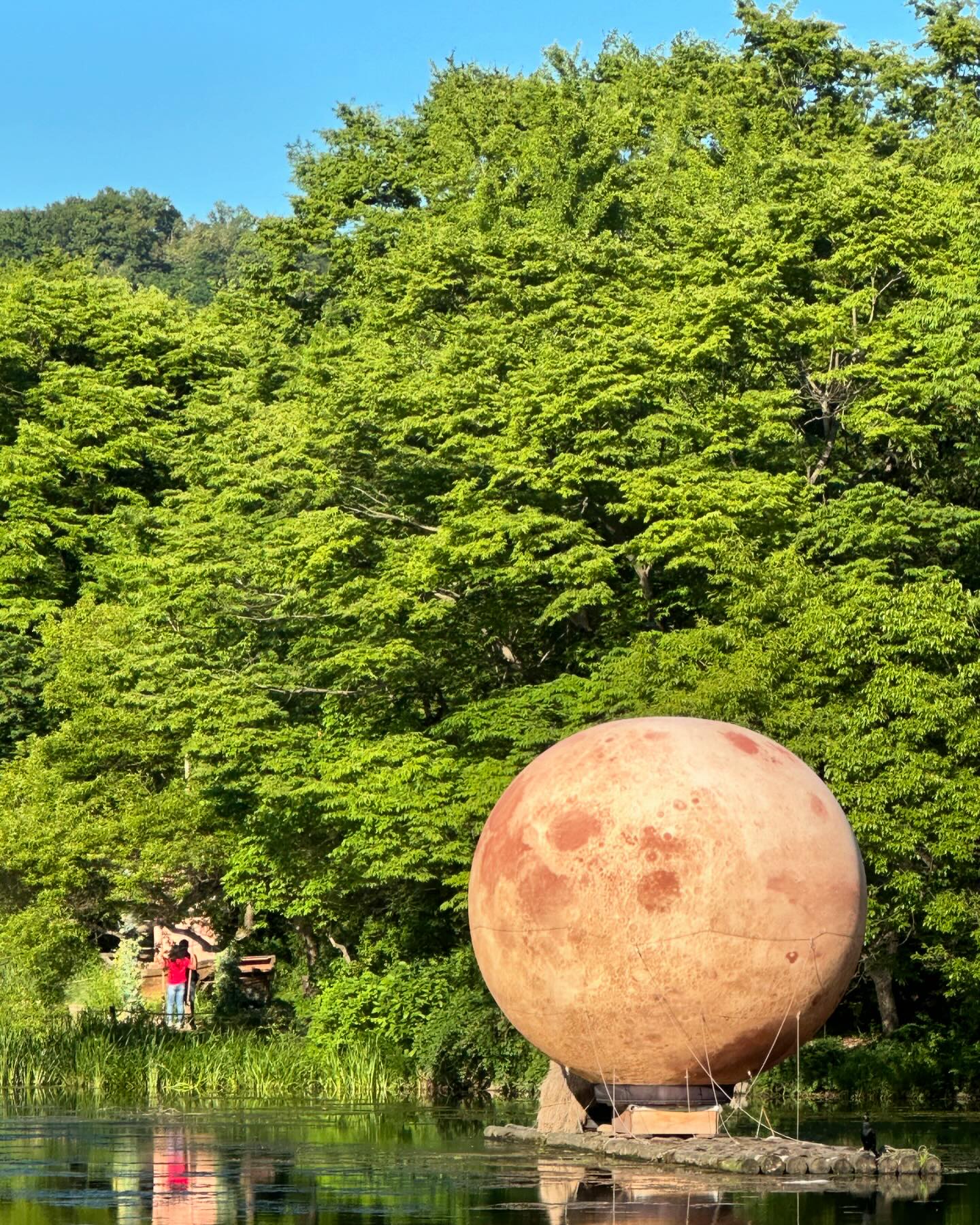 🌕 (._.)/🍀 얍