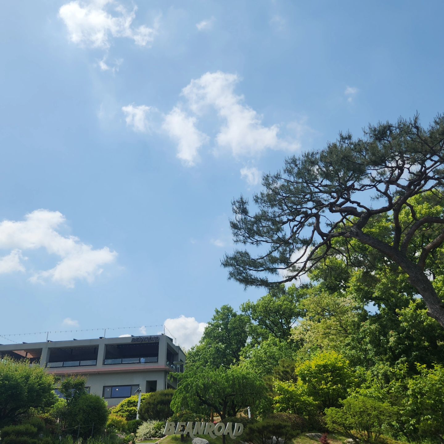 그냥 가기  아쉽다고
#빈로드카페 
기냥 1층서 있을껄
대부분 손님은  야외에
2층은 갤러리 였음.
심리적으로다가 갤러리라하면 후순위가 되는듯
너무 조용해서? ㅋ
3층 루프탑 으로 이동
울집 옥상 공사좀 하고싶당
아드님  신났고 애압쥐 3층까지  배달하며 씩씩거리고 ㅋ
무튼 초스피드로 먹고 마시고 나옴.
왜? 아드님 이 배가 불편하심이 보며서~~ 
그려 가자~!! 
#집에갈수있어
하는 아드님 
집에 가면 저녁 고민 해야하니?