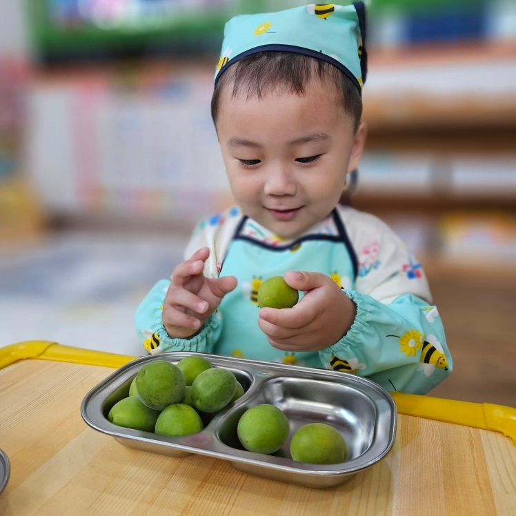 귀염둥이의 매실청 만들기✳️
100일뒤에 먹을수 있다니 그때 먹어보자🧒🩷
