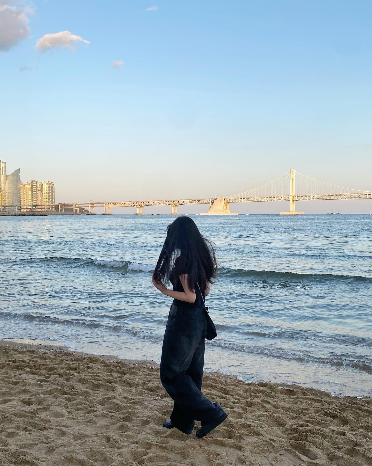 올릴 사진이 없어서 주워온 늦여름사진
