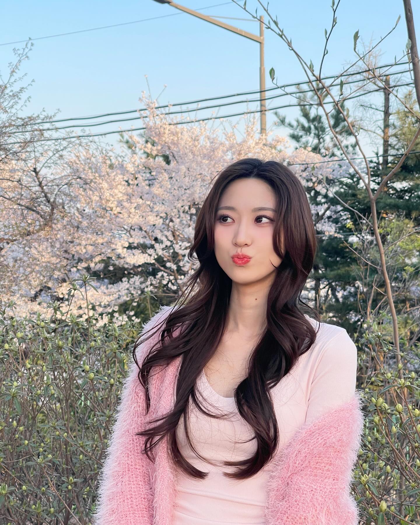 정커비의 벚꽃나들이🩷
올해도 🌸추억저장