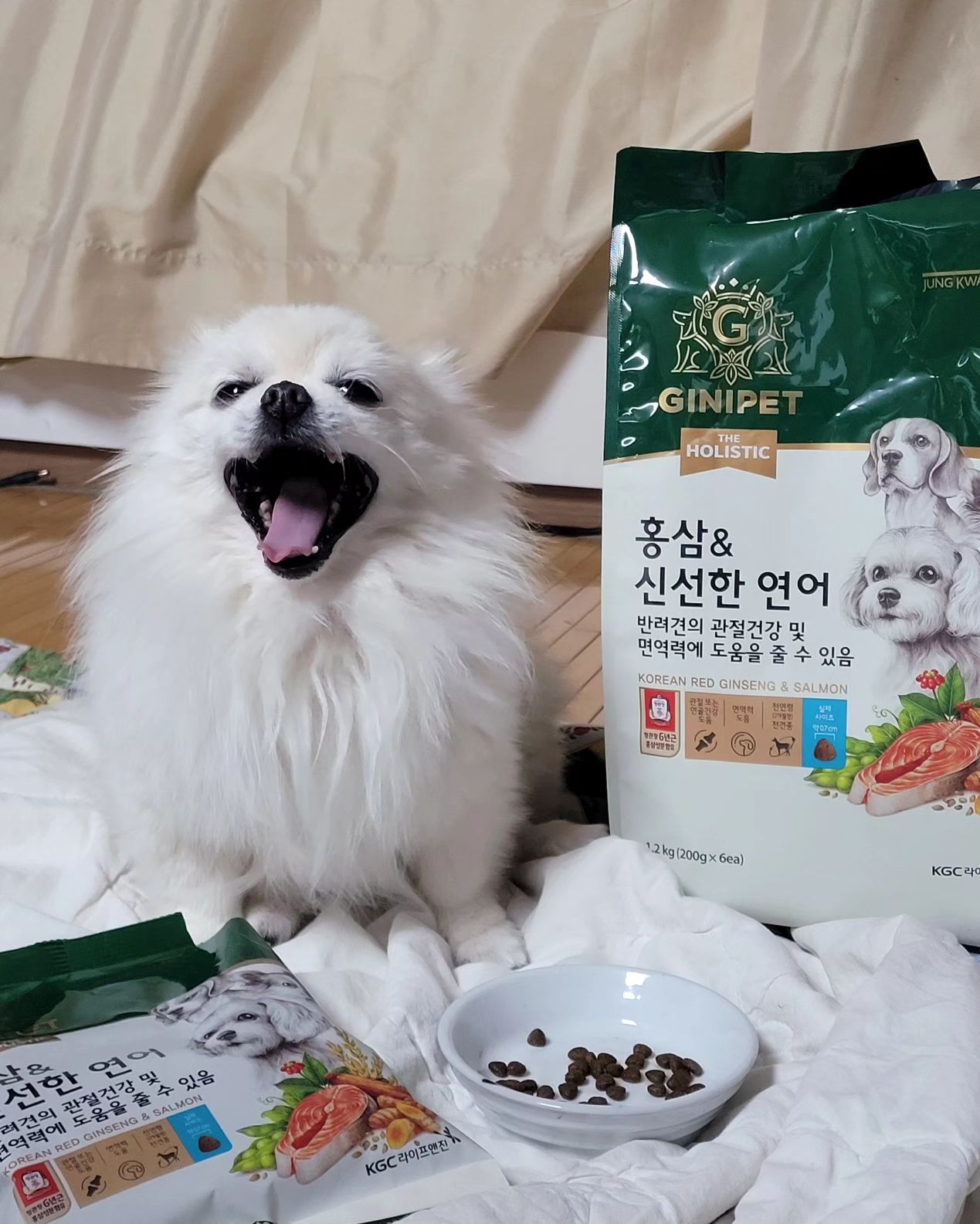 #협찬 #정관장 신제품!! #멍블리
#하늘맹꽁뽀송 #강아지사료 랑 #강아지간식 오자마자
포장 뜯기 전부터 자기들껀지 어떻게 아는지~

혼자 챙겨먹기 아쉬웠던 #홍삼 이 들어간 #면역력사료 로
아가들 면역력 지키기 딱이에요👍🏻

🛒네이버 공식 스토어도 오픈해서 할인쿠폰도 많고
상시 10%할인도 받을 수 있어요!!

2월 4일까지는 ✔️사료 구매 시 간식/영양제 증정
✔️간식/영양제 3개 구매 시 1개 추가 증정해준다해요🙌🏻

알림받기 동의 시 1,000원 할인 쿠폰이랑
첫 구매 시 5% 할인 쿠폰도 있으니 꼭 챙기세요😉

#홍삼 #반려견사료 #가수분해닭고기 #액상포형간식 #지니펫 #연어사료 #홍삼사료 #강아지면역력 #반려견간식 #멍멍이 #댕댕이 #강아지 #댕플루언서 #멍스타그램 #강아지사료추천 #멍플루언서 #닭고기사료 #댕스타그램 #댕팔맞팔