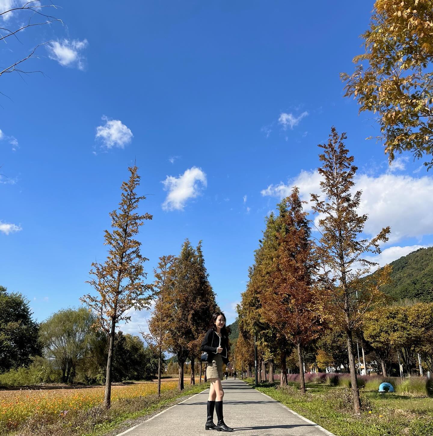 가을이었다 🍁