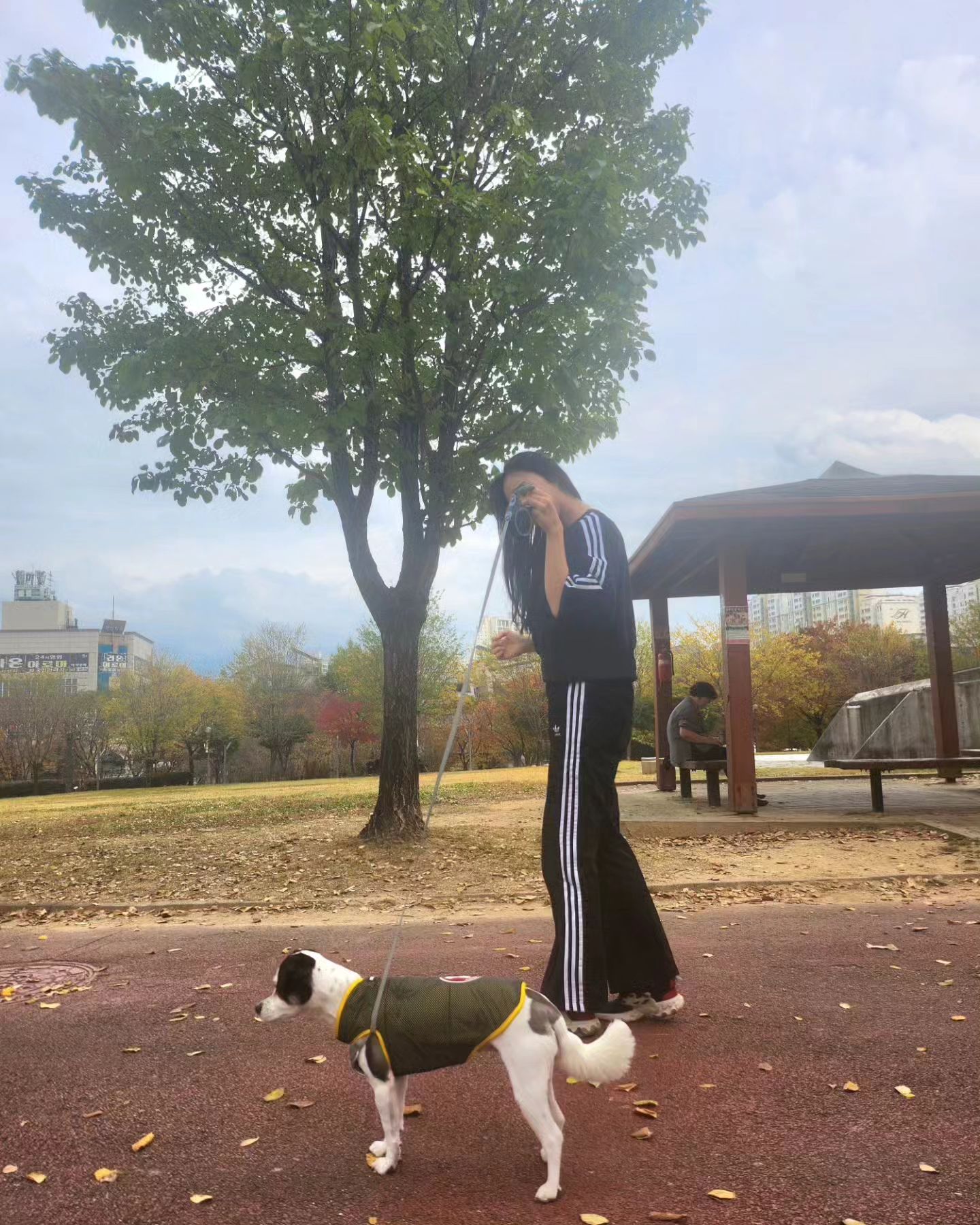 예쁜 몽스웨어 🐶🐕

목부분 가슴부분 답답하게 쪼이지 않는 섬세한 디자인과 벨크로 고정된 점이 편리했당.

강아지 크기 사이즈별로 주문하여, " 답답하지 않게" 조절하면서 입힐수 있기에 다른 일반 옷들과 달리 맞춤옷 으로 조절할수 있기에 활발히 움직일수있당♡

우리 바둑이는 타이트핏을 싫어한다 그래서 L 사이즈로 주문^^♡

 오늘 비가조금 왔지만 젖지않은 편리함과 강아지도 젖는확률이 적어서 활용도가 높당
초경랑 사계절 방수재질이라서
일반 세탁 빨래로두 가능하다.

수작업 이라 그런지 진드기에 붙을리도 없고,  쾌적하게 착용 할수있어서 편리했당

 우리 바둑이는 털색과 어울리는

블랙을 입었다 

자세히보면 3m재질로, 불빛반사 노란부분이 있당♡
산책할때 빤짝 빛나는 느낌 이랄까 넘예쁨

나랑 커플맞춤 으로 깔마춤 헤헷 🖤

쿠팡에 착한 할인까지 맛볼수있으니 

요즘 극성인 진드기 빈대 벌레들이 붙지 않는 쾌적한 재질로 만나보시길 추천 ♡ 

#협찬 #광고 #쿠팡할인 #쿠팡애견 #쿠팡강아지옷
#몽스웨어 #몽스 #강아지산책 #애견 #애견의상 #강아지옷 #겨울 #쿠팡 #댕스타그램 #견스타그램 #댕팔 #댕맞춤옷 #몽스 #견스타 #강아지옷추천 #강아지카페 #강아지일상 #강아지스타그램 #강아지옷 #강아지예쁜옷 #귀여운 #커플견