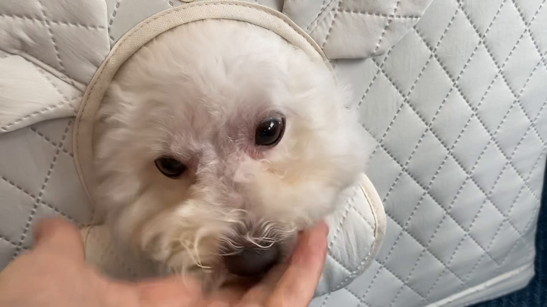콘텐츠