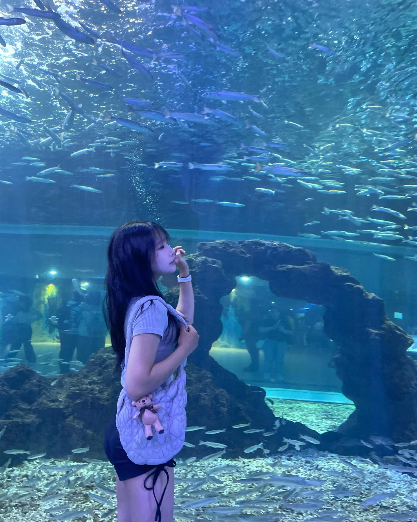 🦈