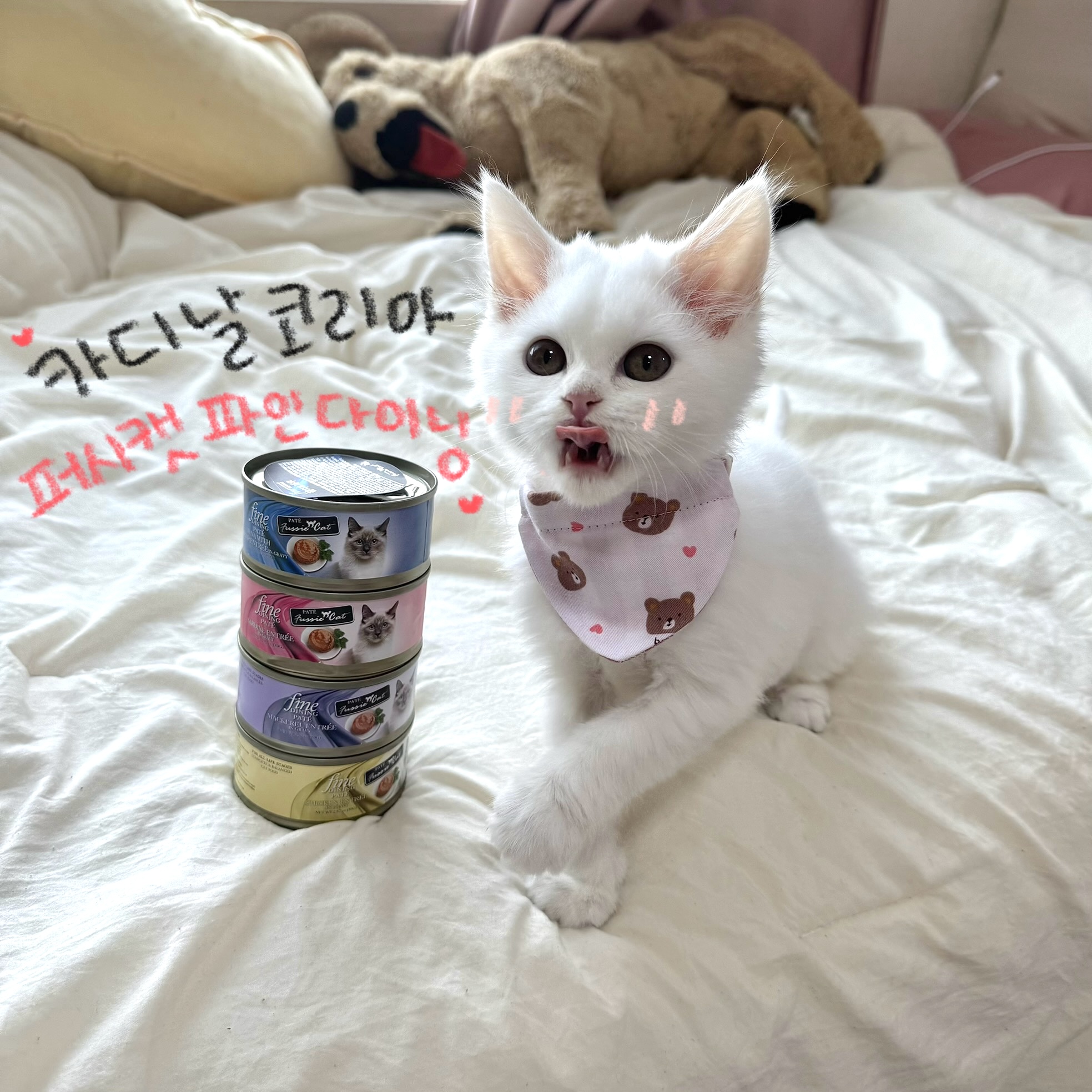 콘텐츠