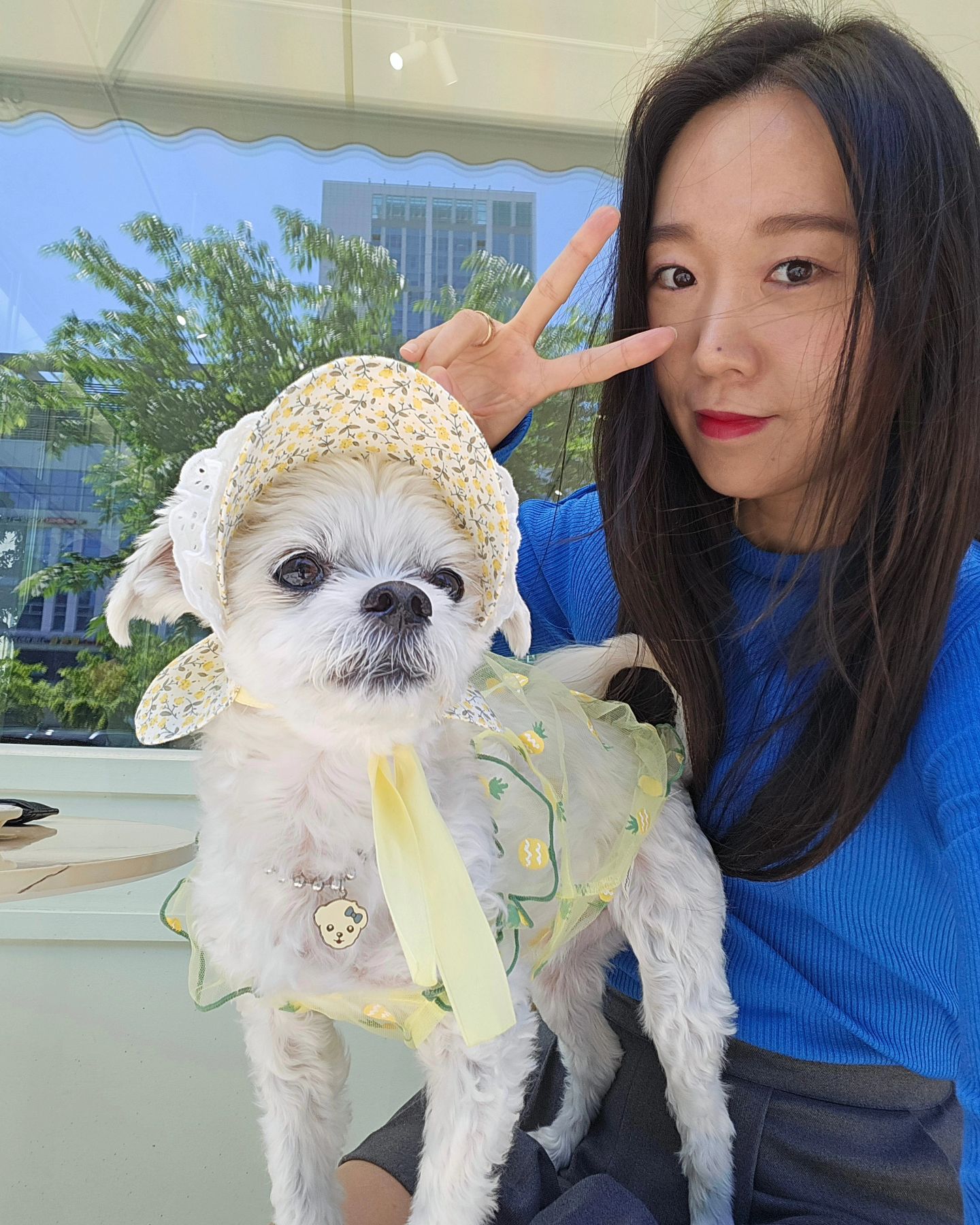 거의 2주만에 구름이랑 카페투어
내내종일근무에 구름이 혼자 있는시간이 길어져서
일부러 배변실수하고 밥도안먹고 걱정시키더니
붙어있으니까 컨디션 돌아옴 😂😂휴