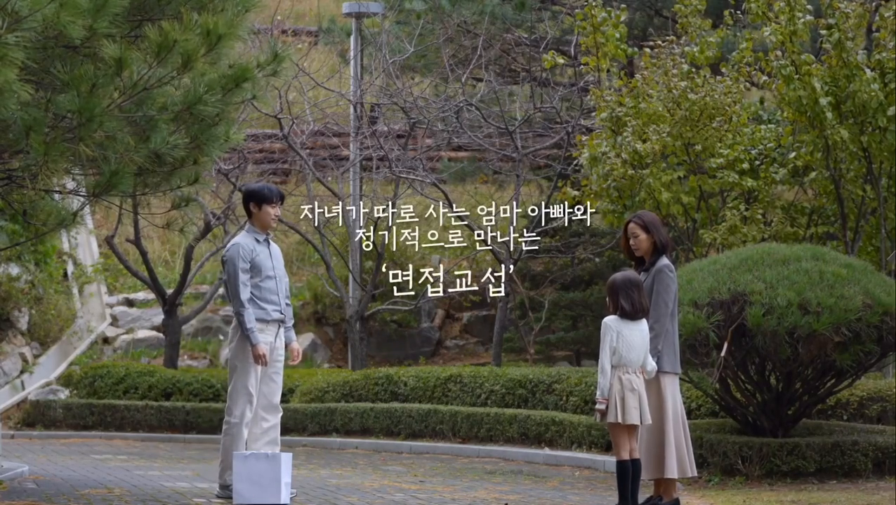 대한민국법원 면접 교섭권