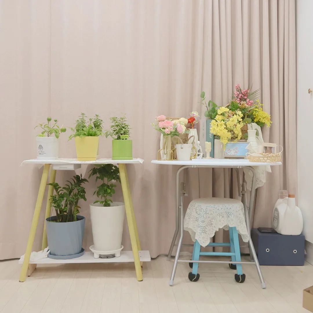 거실한켠에 또다른 플랜 🌿 
다음주에 또 공기정화식물 보러가는데
이번엔 어떤식물로 데려올까요? 😃