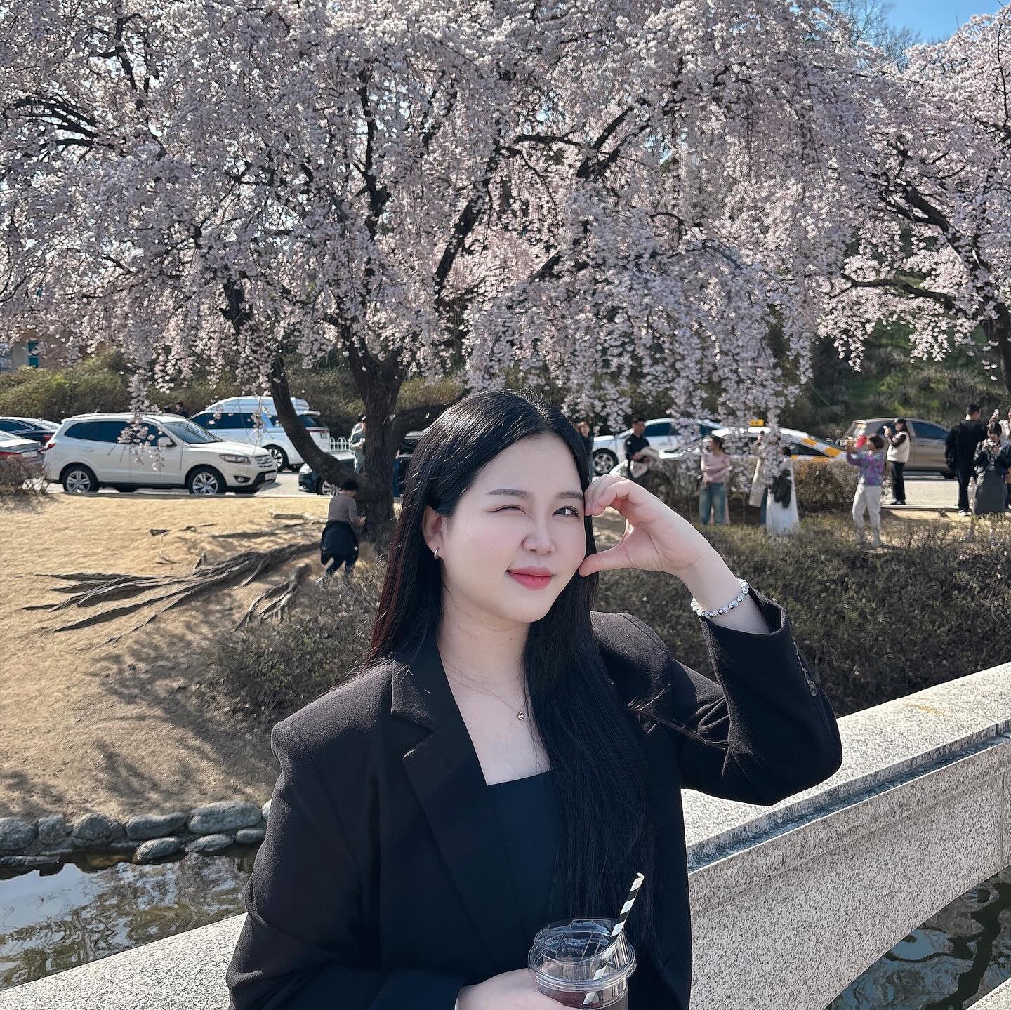여기가 대전에서 벚꽃명소로 유명하다고하는 카이스튼가🌸