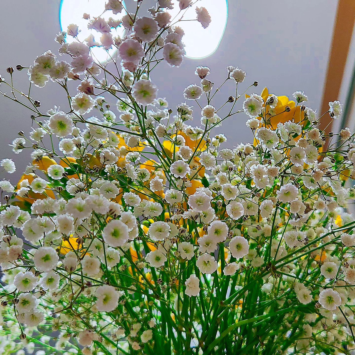 선물받은 꽃다발 💐
가슴이 두근두근 
.
.
나대는마음 . ....
꽃멍. .... 😍
.
.
#꽃다발 #flower #꽃멍 #nature #힐링 #beautiful #꽃선물 #일상
#프리지아꽃다발 #yellow #노랑 #안개꽃