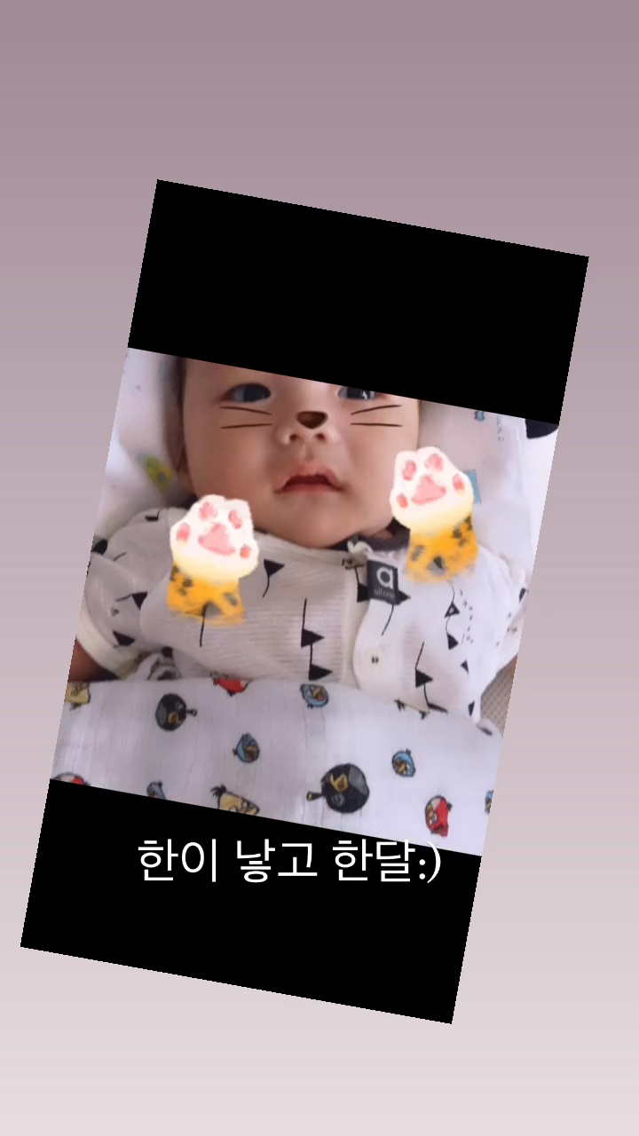 콘텐츠