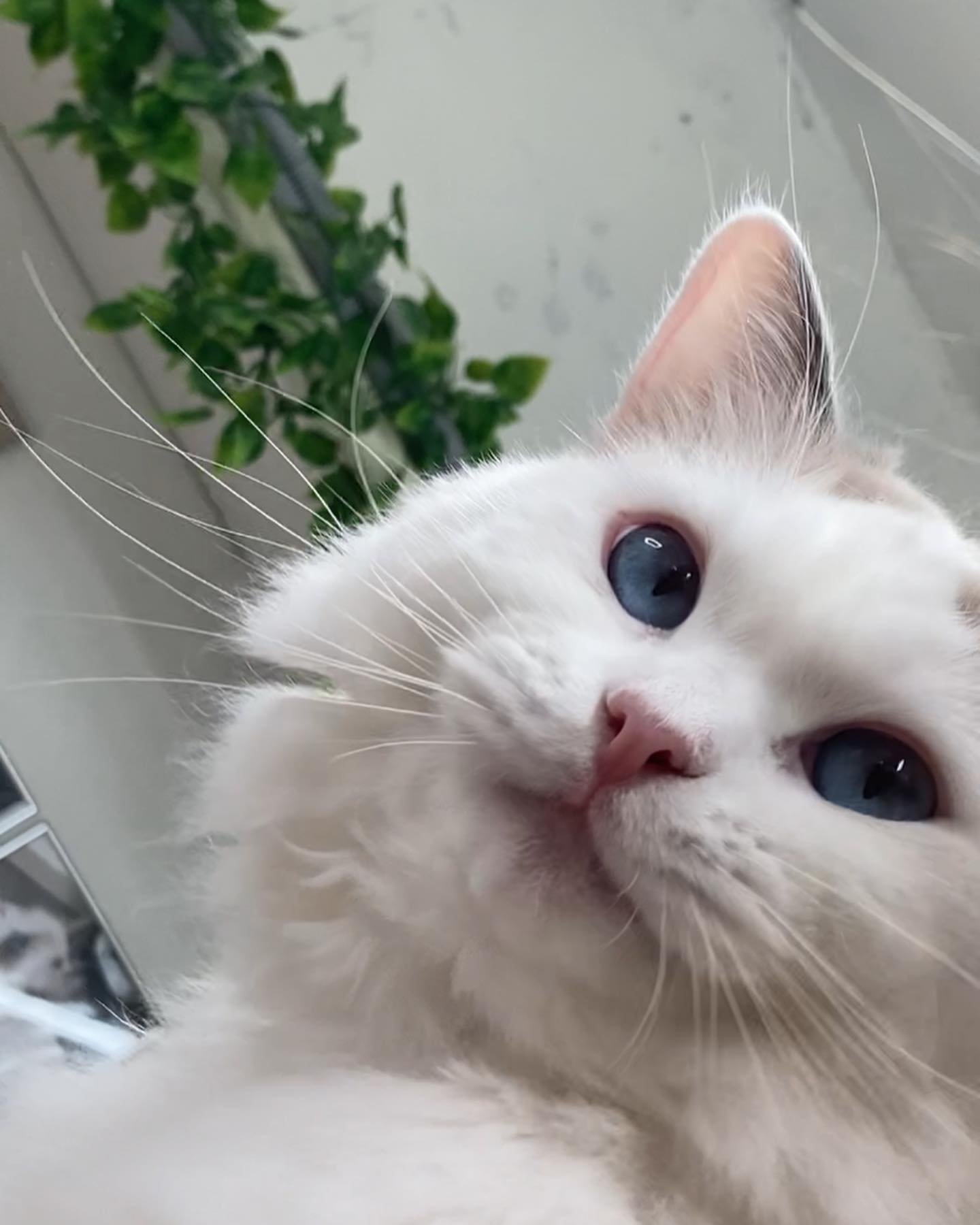 오후2시 부산대