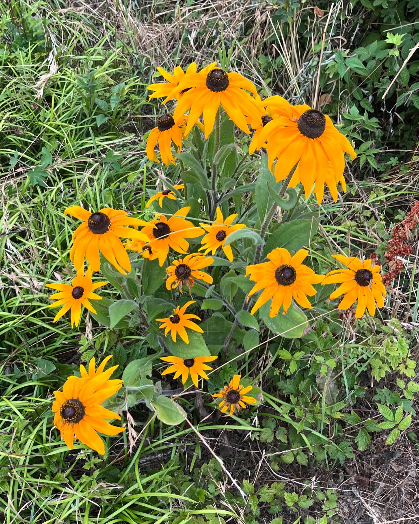내가 찍은 내 사진과 그 시간을 좋아해요🫶🌼