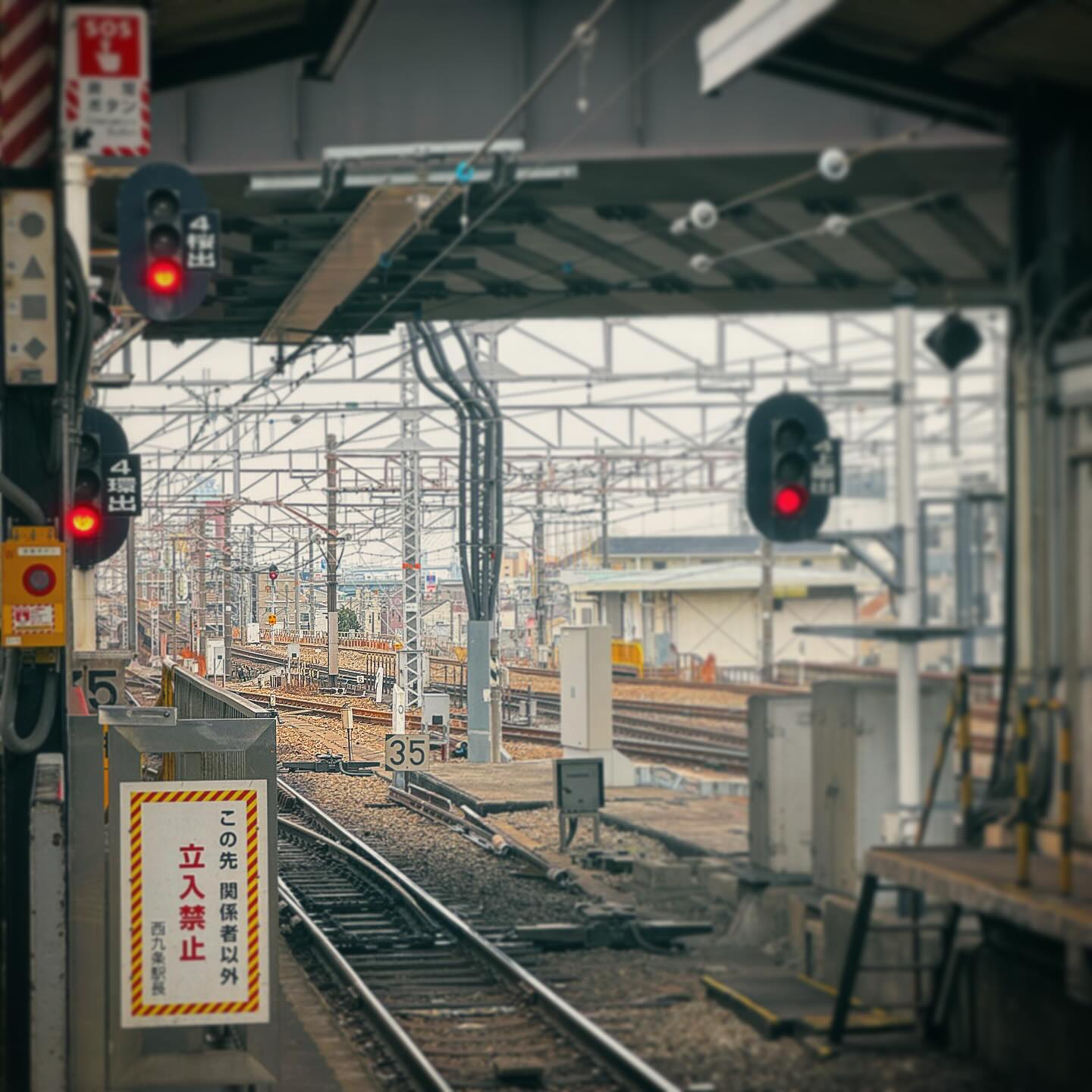 OSAKA🇯🇵 (KYOTO, NARA)
幸せだった大阪一週間の旅 1