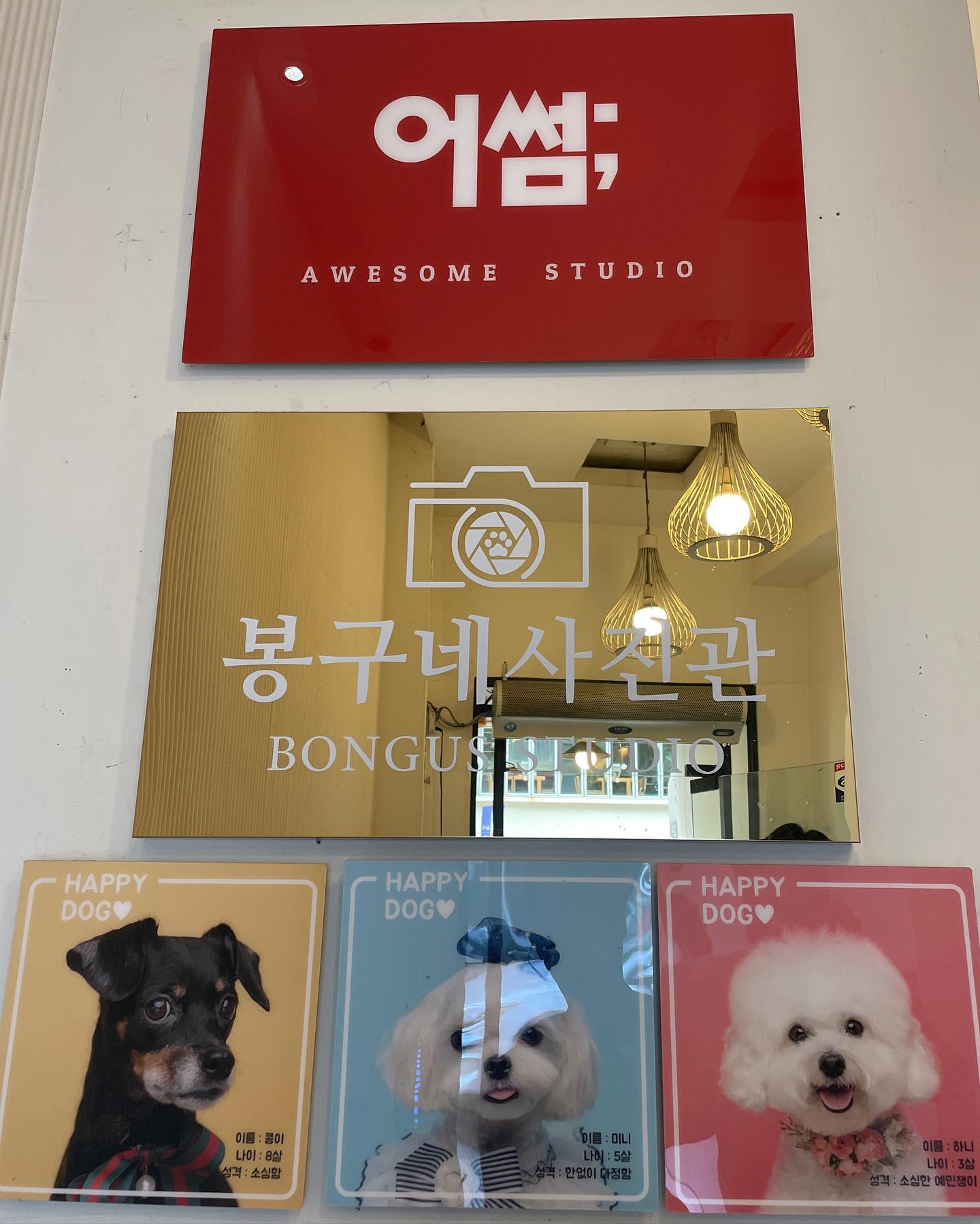 #협찬
.

기존에 갖고 있던 여권 기간이 좀 남았지만 다음달 펭남이랑
놀러가려고 따끈따끈한 네번째 신여권을 만들러 다녀왔어요!😬

드레스 초이스 가는 날, 헤어랑 메이크업도 받으니까 
드초 다 끝나는 시간 맞춰서 미리 예약해두고 방문한
충장로에 위치한 어썸스튜디오 (awesome_gwangju )

 - 주소 : 광주광역시 동구 충장로 1가 22-7번지 2층
 - 연락처 : 062-234-1106
 - 카카오톡 : 어썸스튜디오 

기존의 여권 사진은 잡티와 짝눈으로 인해서 펭남이 보여줄 수가
없을 정도로 사람의 몰골이 아니었는데 머리를 빠짝 올리고
찍었어도 전문가의 손길이 닿아서 그런지 넘 맘에 들어요🙈

여권 사진만 찍을랬다가 뽀샤시 마음에 들어서
증명사진까지 몽땅 찍어버렸어요ㅋㅋㅋㅋ🙈

현재 어썸스튜디오 충장로점은 오픈 10주년 감사이벤트를
진행하고 있어서 대가족 사진과 소가족 사진은 1+1 이고,
우정 사진, 커플사진, 이색컨셉 사진은 10~20% 할인해요

결혼 전 서울에서 오빠가 내려오거든
가족사진 찍으러 한 번 재방문 해야겠어요👍

#광주사진관#광주증명사진#광주여권사진#충장로사진관
#충장로증명사진#충장로여권사진#충장로사진관추천
#충장로사진관_어썸스튜디오#봉구네사진관#광주사진관추천