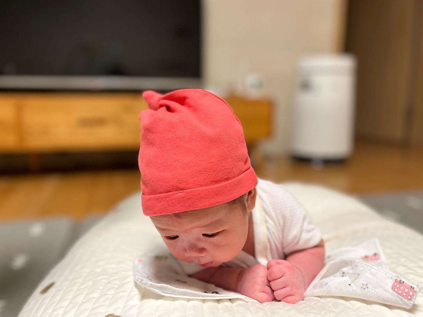 .
.
#태어난지46일째 👶🏻
#터미타임 💕
.
트림할때마다 고개들고 발버둥치더니 곧 잘하네?!
요 사진은 참 귀엽게 나왔....😍
.
.
.
#둘째#귀여워#예뻐#아기#baby#으라차차#고개번쩍#아들램#애기애기해#살이제법오름#울뚠뚠이#발로그만차#아파#등반금지#상모돌리기금지