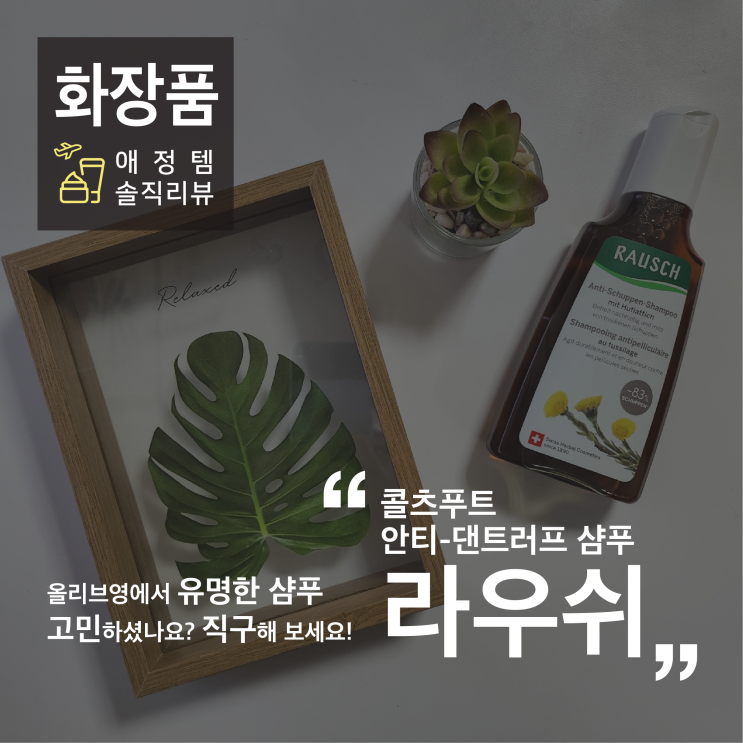 [화장품]라우쉬 콜츠푸트 안티-댄트러프 샴푸/해외직구/내돈내산/20통 넘게 비운 후기/가격 비교/구매 꿀팁