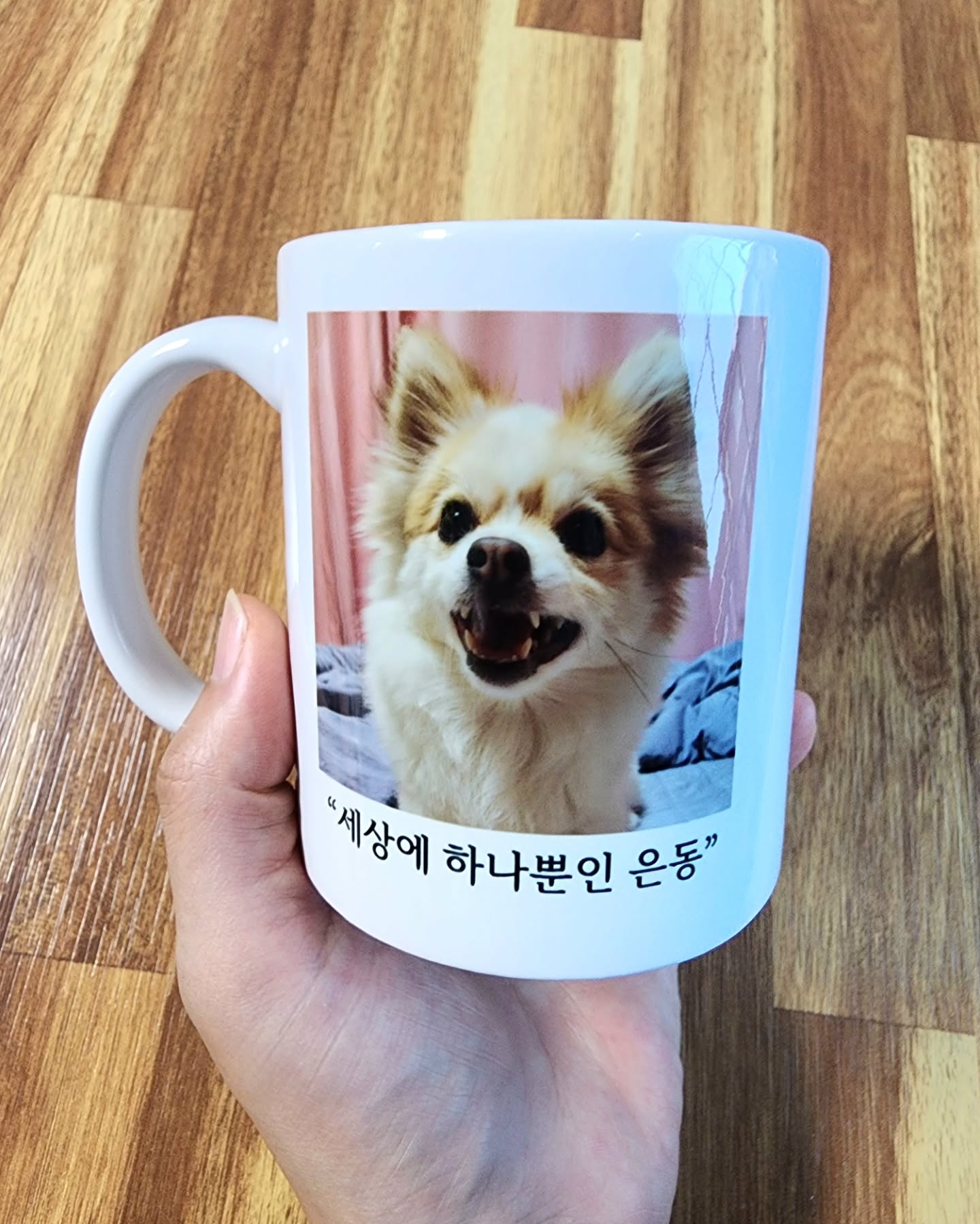 #협찬 #포토머그컵
머그컵에 귀요미 은동씨를 담아봤오🐶🤍

✅️saegida2024 세라믹 머그컵은
  대량주문뿐만 아니라 1개부터 주문제작이 가능하고

✅️무료 시안을 제공해줘서 간단하게 나만의 주문제작 OK

✅️식약처 인증으로 안전성에도 문제 없고

✅️높은 출력품질로 선명하게 인쇄된 
  예쁜 머그컵을 받아볼 수 있다구😆

친구들도 반려동물, 아기, 연인, 가족사진등 
매일 매일 보고싶은 이의 모습을 머그컵에 새겨보는 건 어때?💟
.
.
.
.
#주문제작컵 #답례품 #단체선물 #나만의머그컵 #리뷰노트