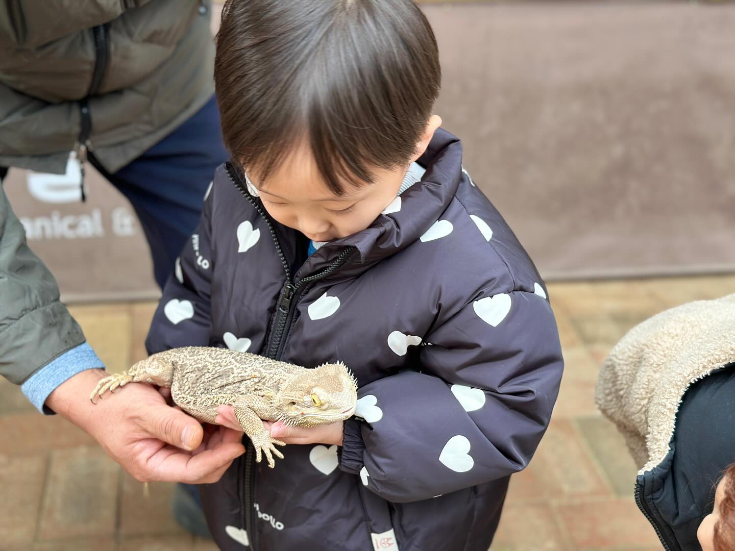 #동물의정원

식물원 동.식물 색다른 체험 :-)
🐴🐰🐐🐷🐍🦎🐹🐊️ 🌈❤️

#구찌뱀🪱