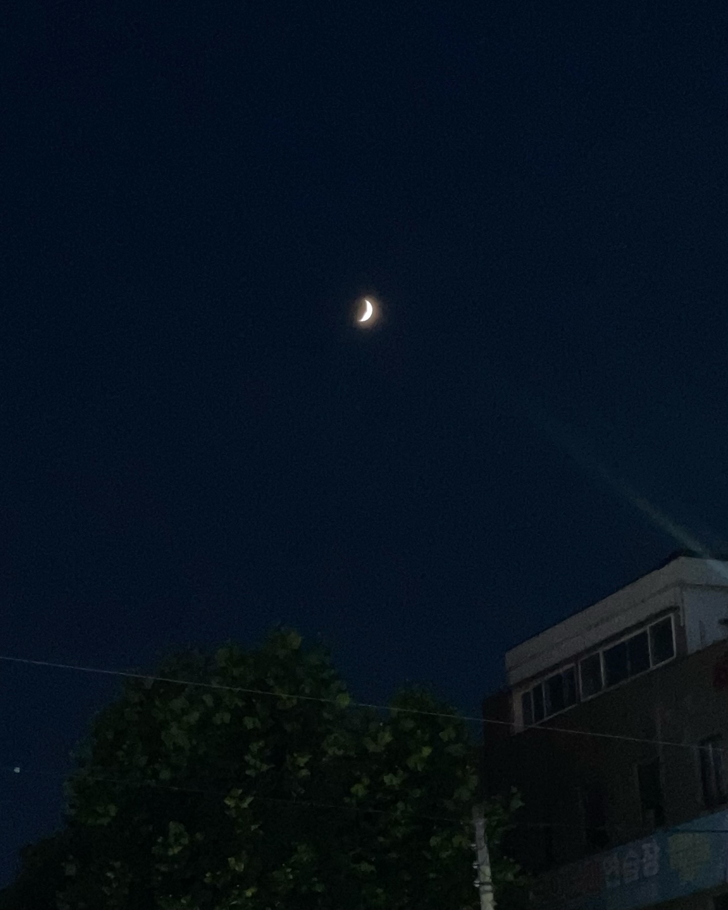 콘텐츠