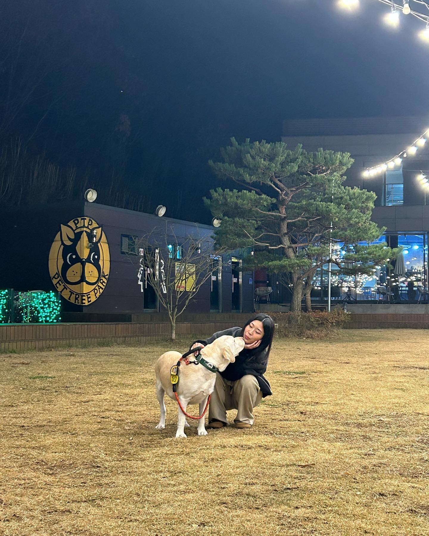 저번주 주말에 누나랑 누나친구들이랑 충주여행갔던 크리밍🩷

걱정했던 가족들과 다르게 집보다 다 얌잔하고 더 즐거워했던 크림씨입니다😂🧡

안타보던 유모차도 얌전히 잘 타주고 펜션에서도 얌전하게 잘 잤답니다👍💛

집에오고 계속 나가자고 대문앞에서 시위하는 탓에 고생은 했지만 그만큼 좋았던거니 생각하고 앞으론 시간날때마다 놀러가니려고 합니당🥰

사랑해 크림찡❣️

(크림이 케어하느라 정신없어서 사진이 별로 없는건 안비밀😂)

.
.
.

#리트리버 #대형견 #애견동반여행 #충주여행 #멍스타그램 #멍팔맞팔 #멍팔 #맞팔 #좋아요 #댕댕이 #댕댕이그램 #댕스타그램
