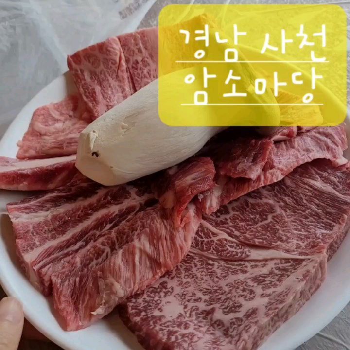 #협찬
#암소마당

#경남사천 현지인들이 많이 가는 #사천맛집 이라고 해서 #사천데이트 겸 들렸어
주차장에 이미 차가 많이 있었고,
방으로 다 나뉘어져 있었어~
방마다 가족이나 지인들 #사천모임 소리로 하하호호 행복한 소리가 가득했어
맛난 #사천한우 먹으면 행복하지ㅋ

새생수물로 위생까지 👍

우리는 투쁠 한우패밀리 小자 88,000원 주문!
가격도 저렴하다, 투쁠인데 100g에 22,000원밖에 안하네!
#경남사천맛집 #삼천포맛집 #사천고기

딴딴해 보이는 숯이 먼저 입장!
영롱해 보이는 투쁠 한우가 내 눈앞에 왔어

숯으로 달궈진 불판에 치이이익~~~
한우 익어가는 소리와 모습은 정말 환상적이지
근데 육향하고 육즙이 장난이 아니네,
마블링은 말도 할거 없지ㅎ

버섯 하고 마늘도 같이 구워서 먹으니 풍미가 더 좋아

투쁠 한우라 그런지 고기 두께도 두껍고,
씹는 식감이 좋았어
삼천포에 방문 한다면 필히 들렸다 가야 하는 #사천고기집

마무리는 항상 된장과 냉면이 빠질 수 없지
근데 여기 냉면도 맛있는데?!
된장찌개는 말할것도 없이 무조건 맛있지

사장님도 정말 친절해서 방문하기 부담 없는곳

#사천고깃집#삼천포한우#삼천포고기#향촌동맛집#경남한우#경남맛집#한우맛집#남일대해수욕장#한우스타그램#맛스타그램