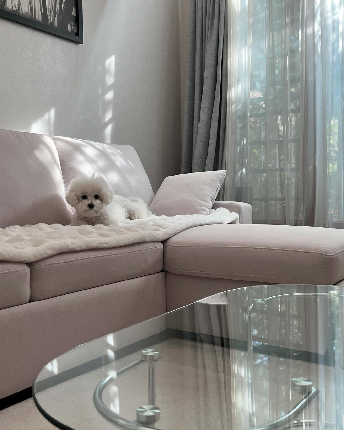 .
둡우의 뒹굴뒹굴 일상 ☁️
너무 추운날엔 집콕이 최고야🐇