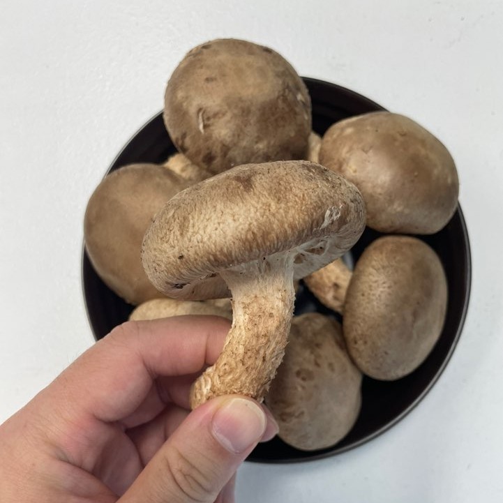 마니팜 송화버섯 향긋한 버섯요리로 가을 느낌 물씬 느껴봐요