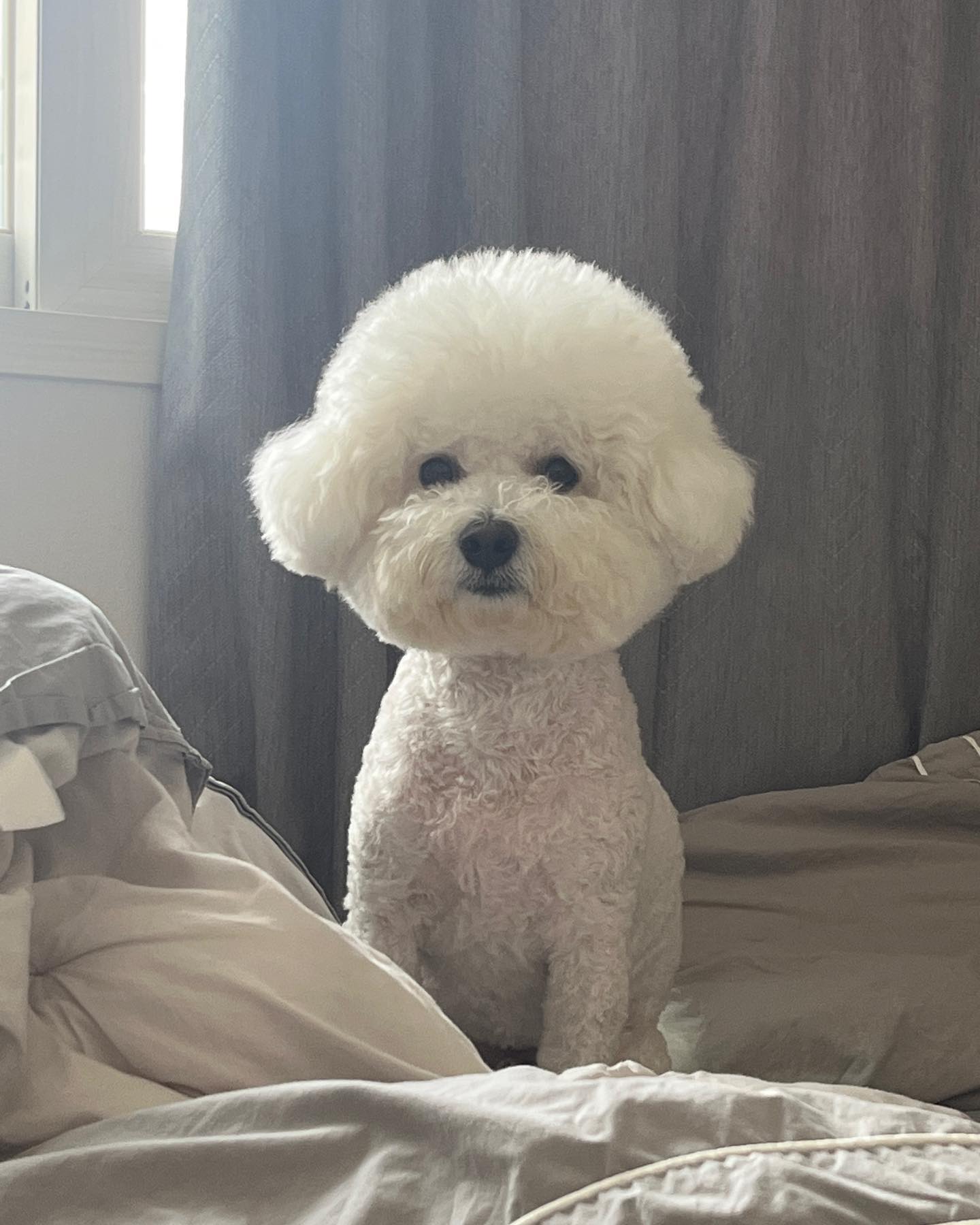 알게떠..나가쟈....☺️